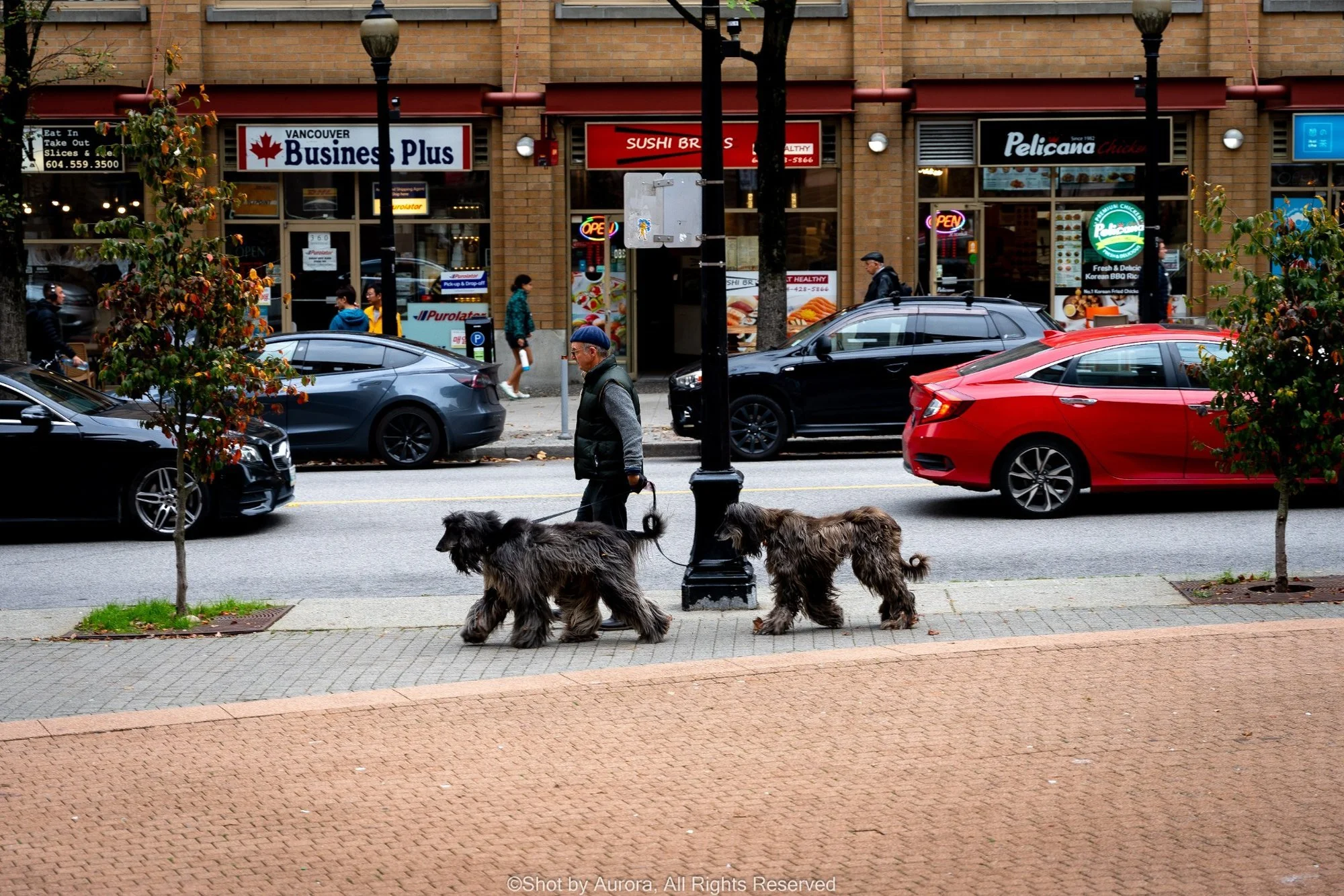 city-walk-dog-street-scene-vancouver-by-aurora.jpg