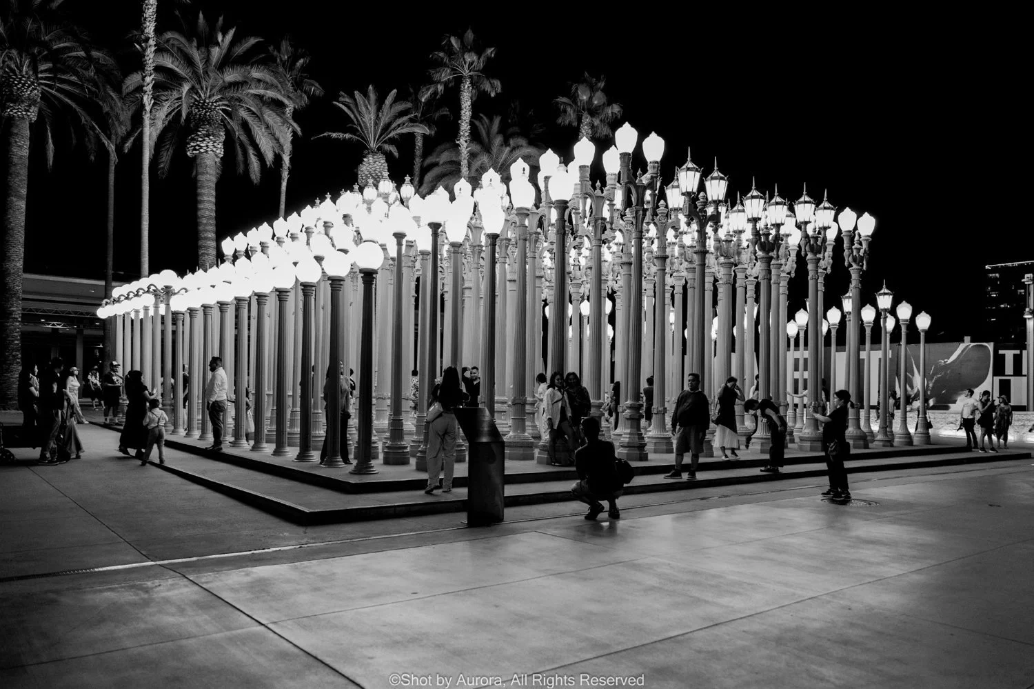 urban-light-installation-los-angeles-lacma.jpg
