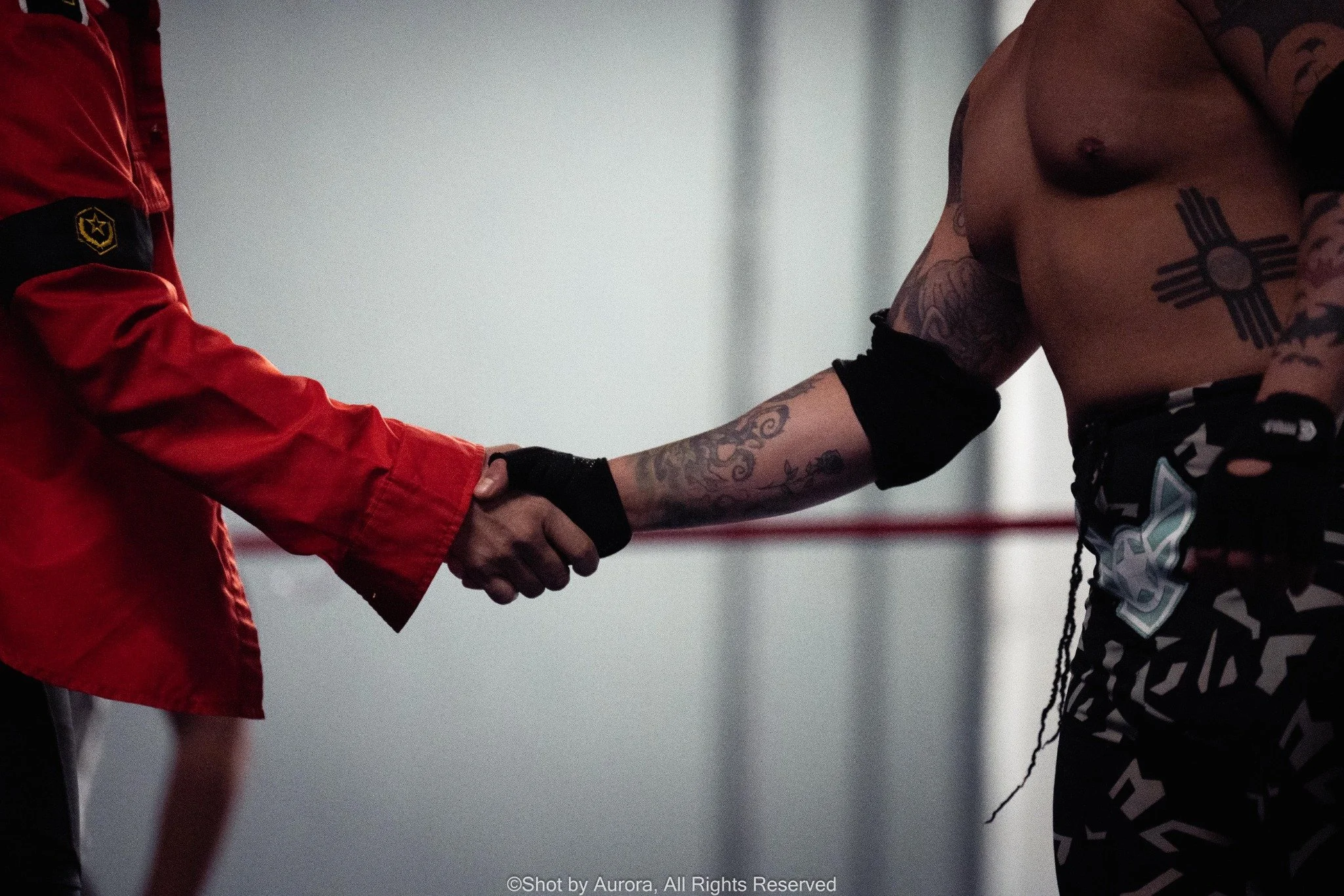 masked-wrestler-knockout.jpg