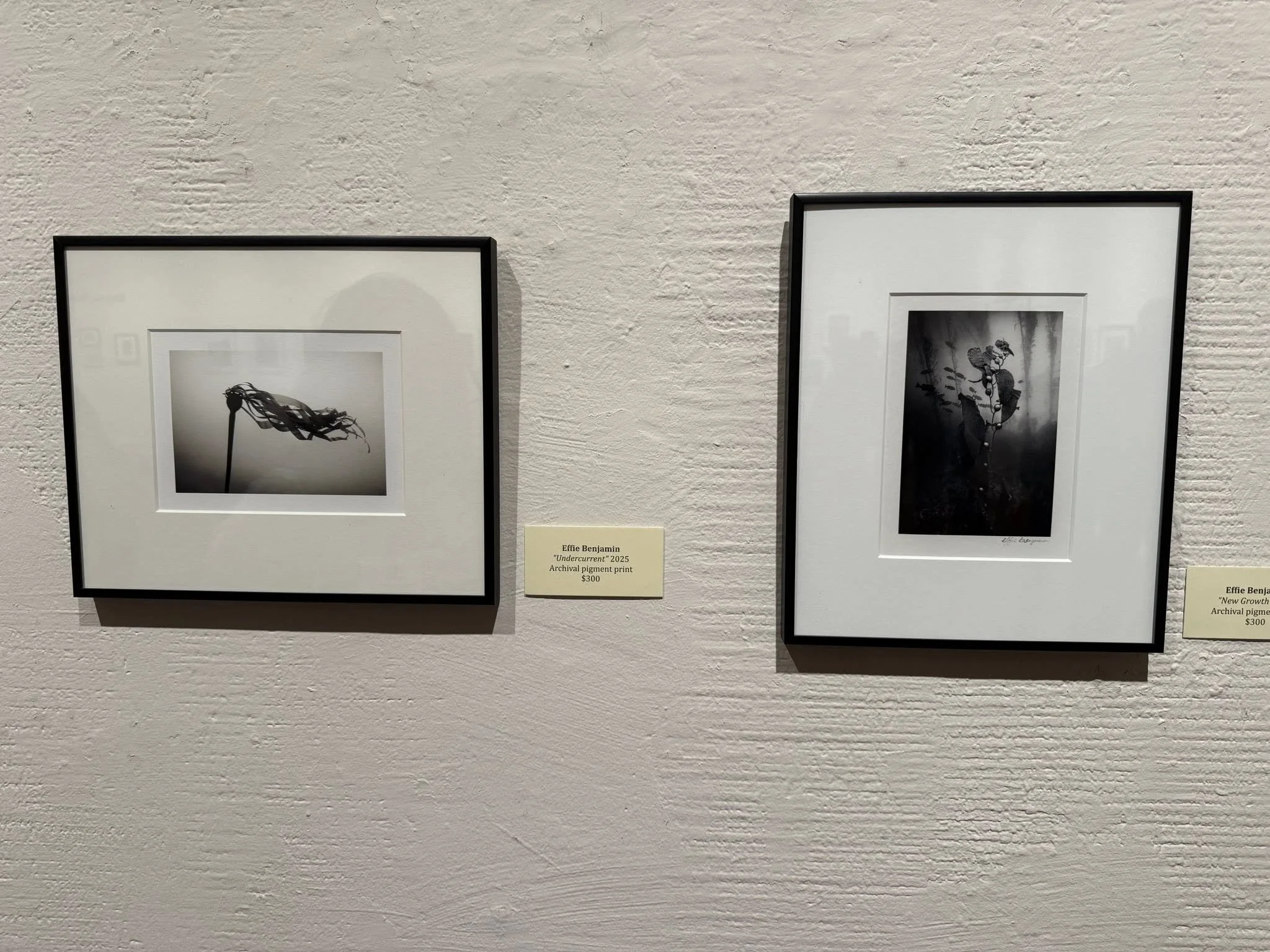 effie hidden worlds.jpg