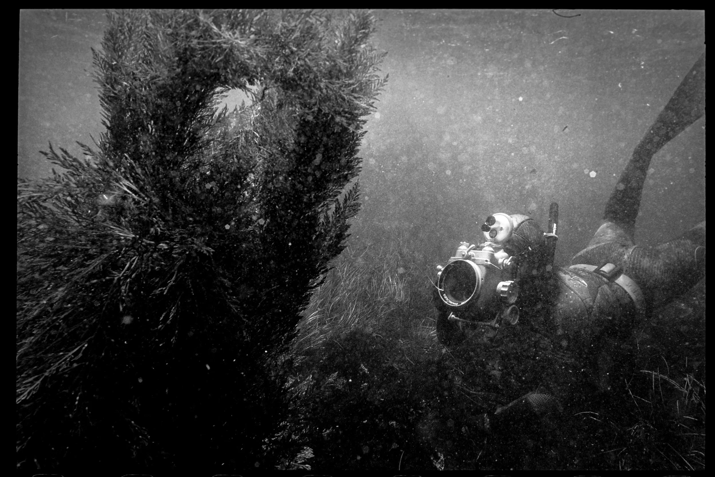 Freediving with the Rolleimarin. This photo was taken by Joe Platko on a Nikonos V — likely the first time a Rolleimarin has been shot underwater on a fellow film camera in decades.