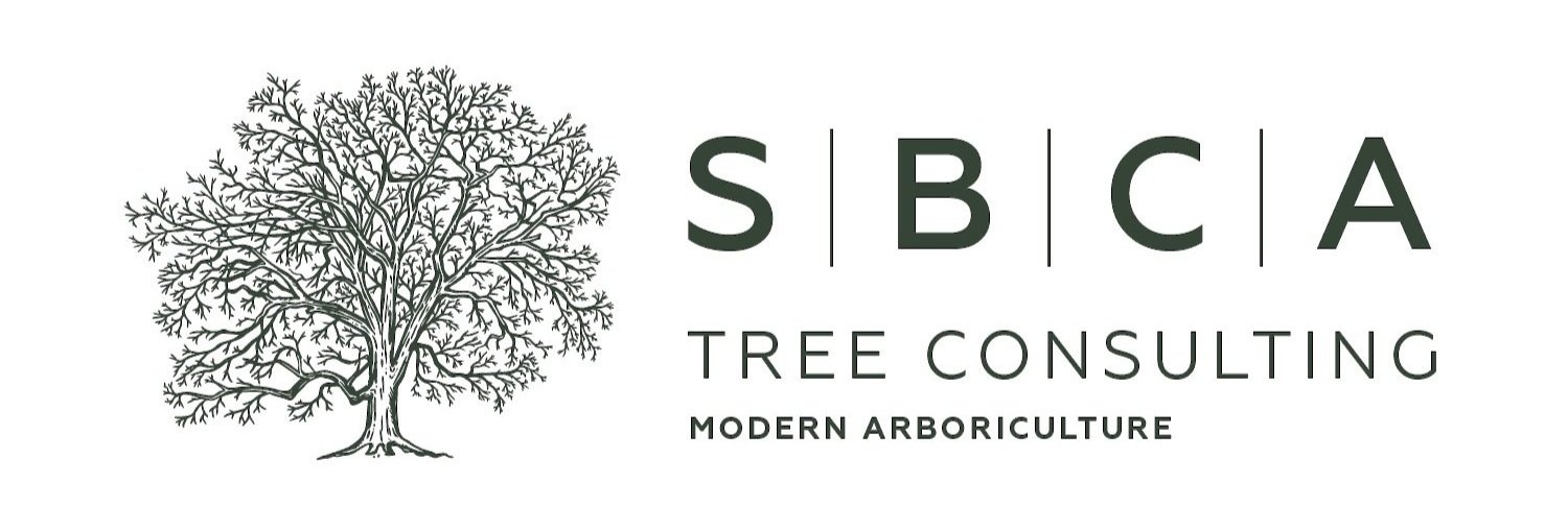 SBCA Tree Consulting