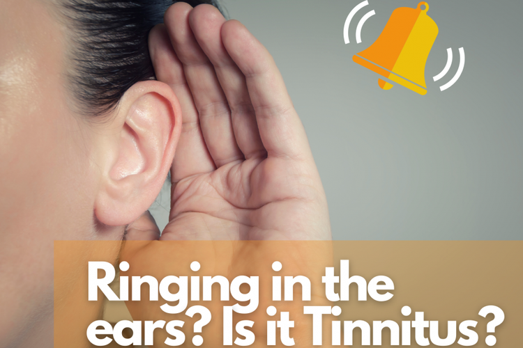 Ernest Shackleton Ontleden Vertrappen Ringing In The Ears? Is It Tinnitus? — Raleigh Sinus and Hearing Aid  Specialist | Triangle Sinus Center