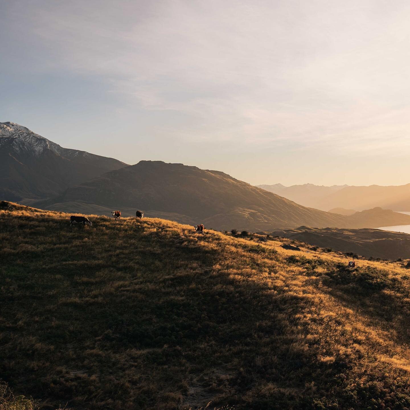 On Sunday I stood at my desk and went through to re-organise hard drives, delete old photos that I&rsquo;d never use, and rediscover shots I&rsquo;ve never edited. These are a few from lockdown of 2020 in Glendhu Bay when we were able to explore a bi