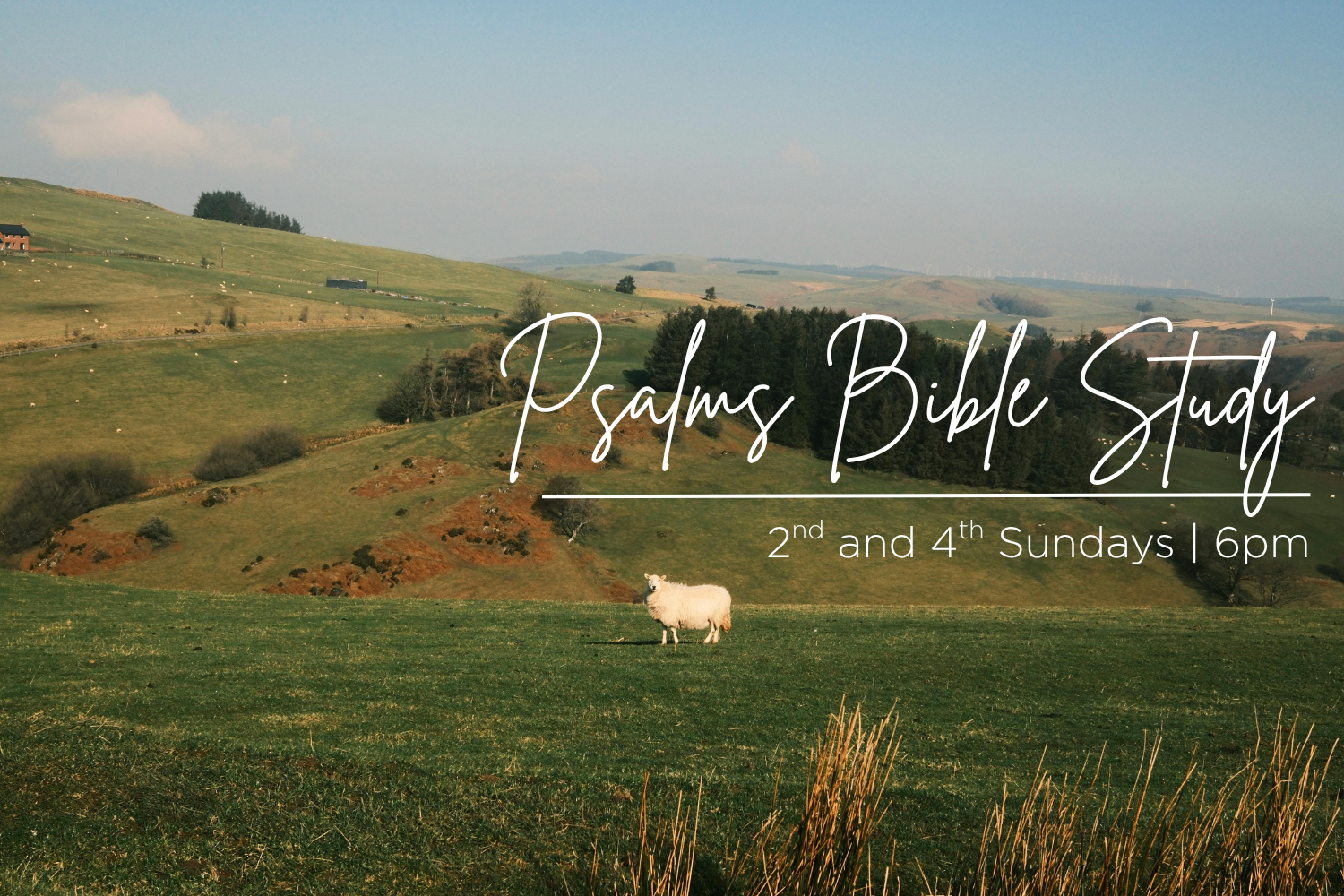 Psalm Bible Study