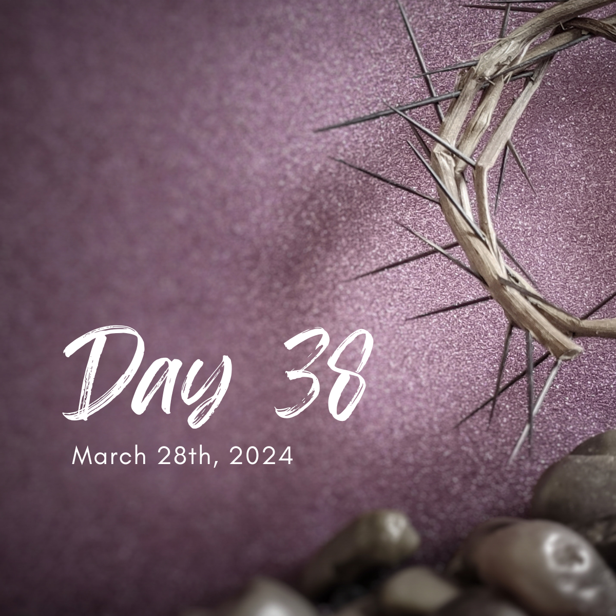 Day 38 | Thursday, March 28th, 2024