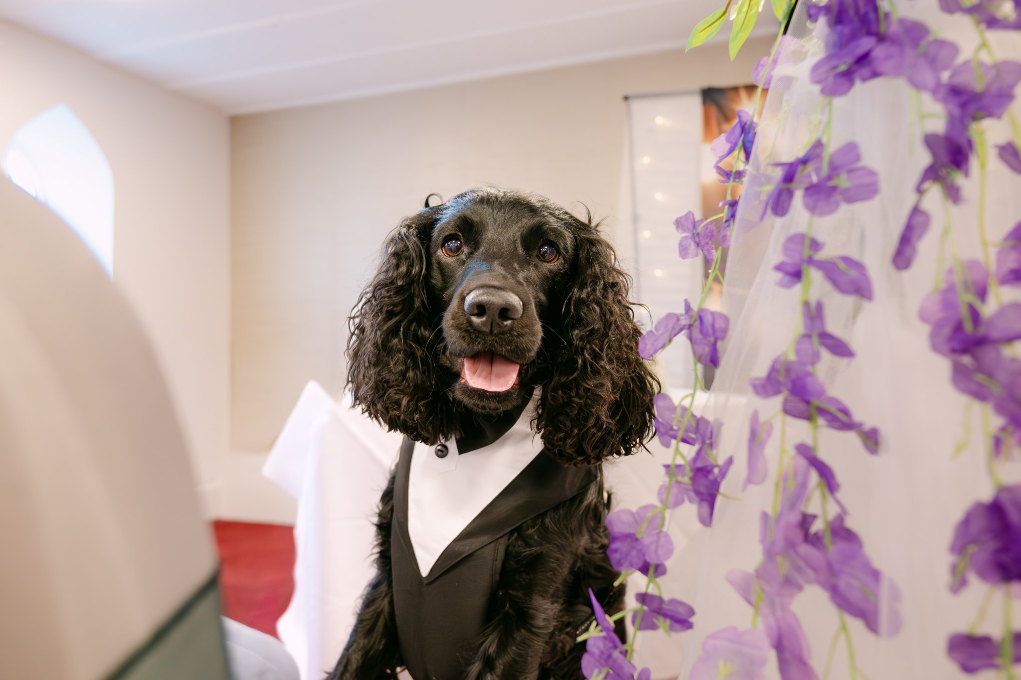 Sammy & Sam Wedding-253.jpg