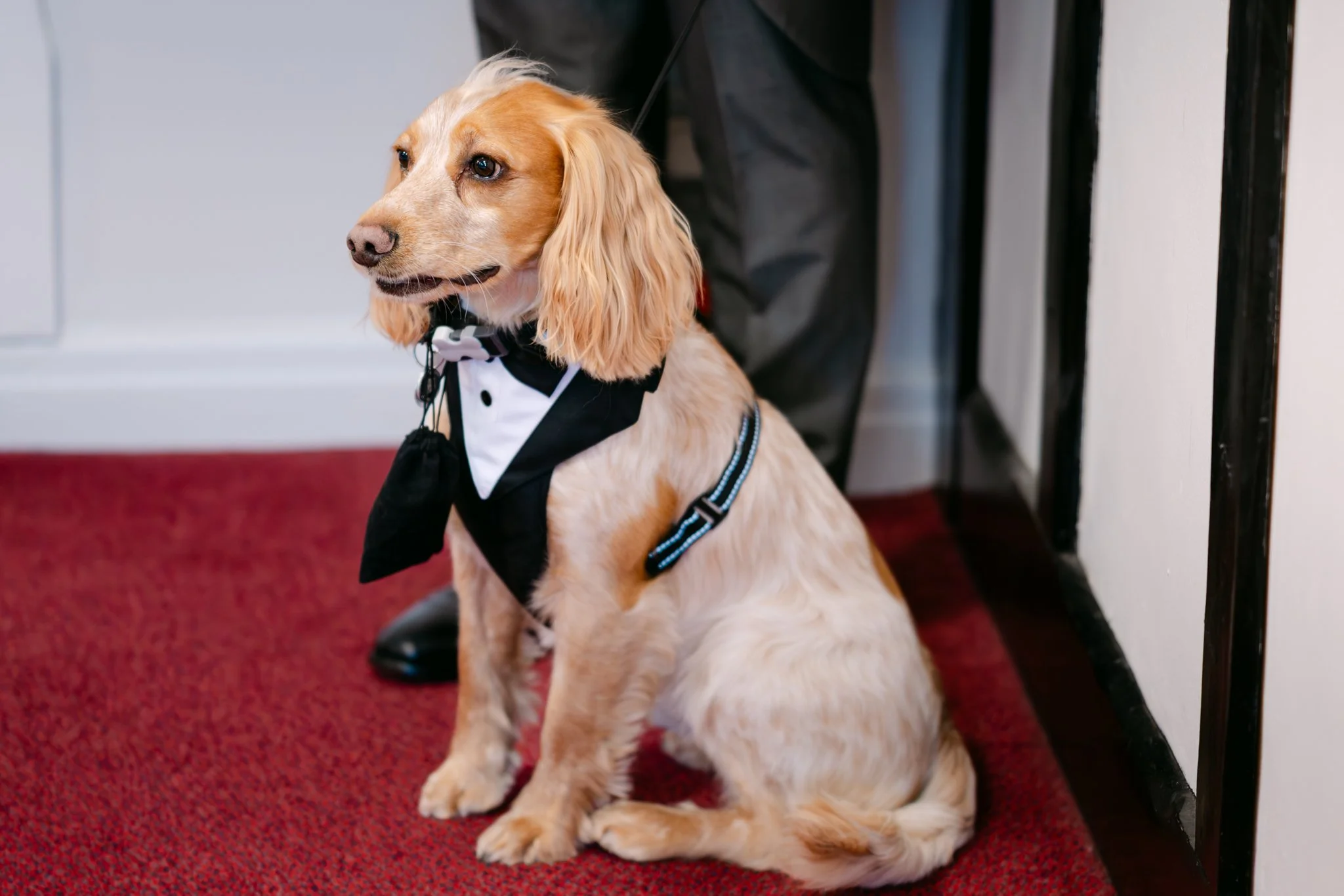 Sammy & Sam Wedding-268.jpg