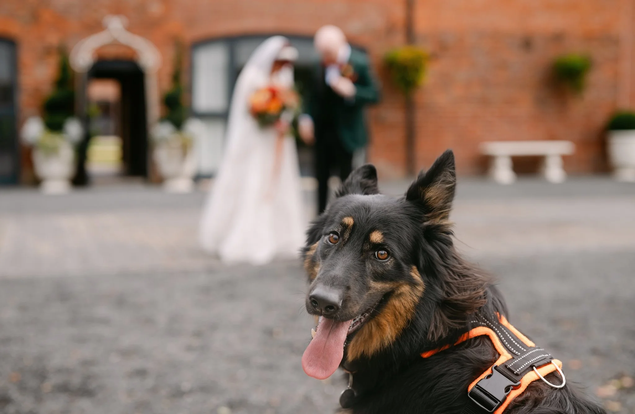 Emily & Andrew Wedding-633.jpg