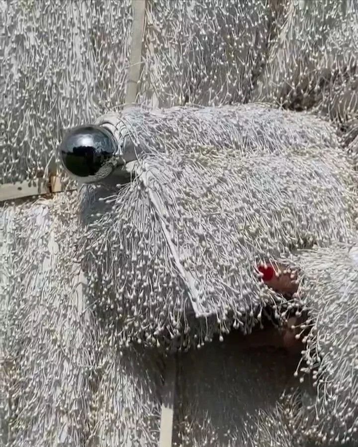 _ - 2025-11-29T132119.897.jpeg