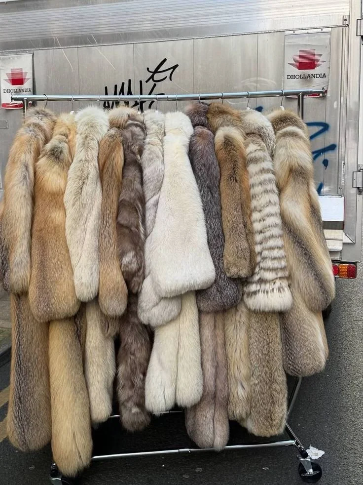 _ - 2025-12-01T003507.874.jpeg