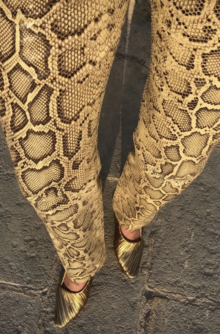 _ - 2025-12-01T004037.402.jpeg