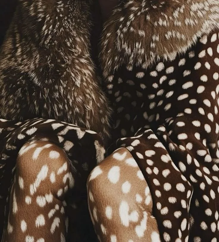 _ - 2025-11-29T131524.593.jpeg