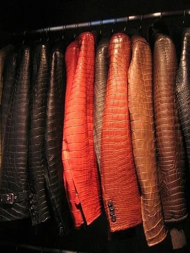 beautiful colors_.jpeg