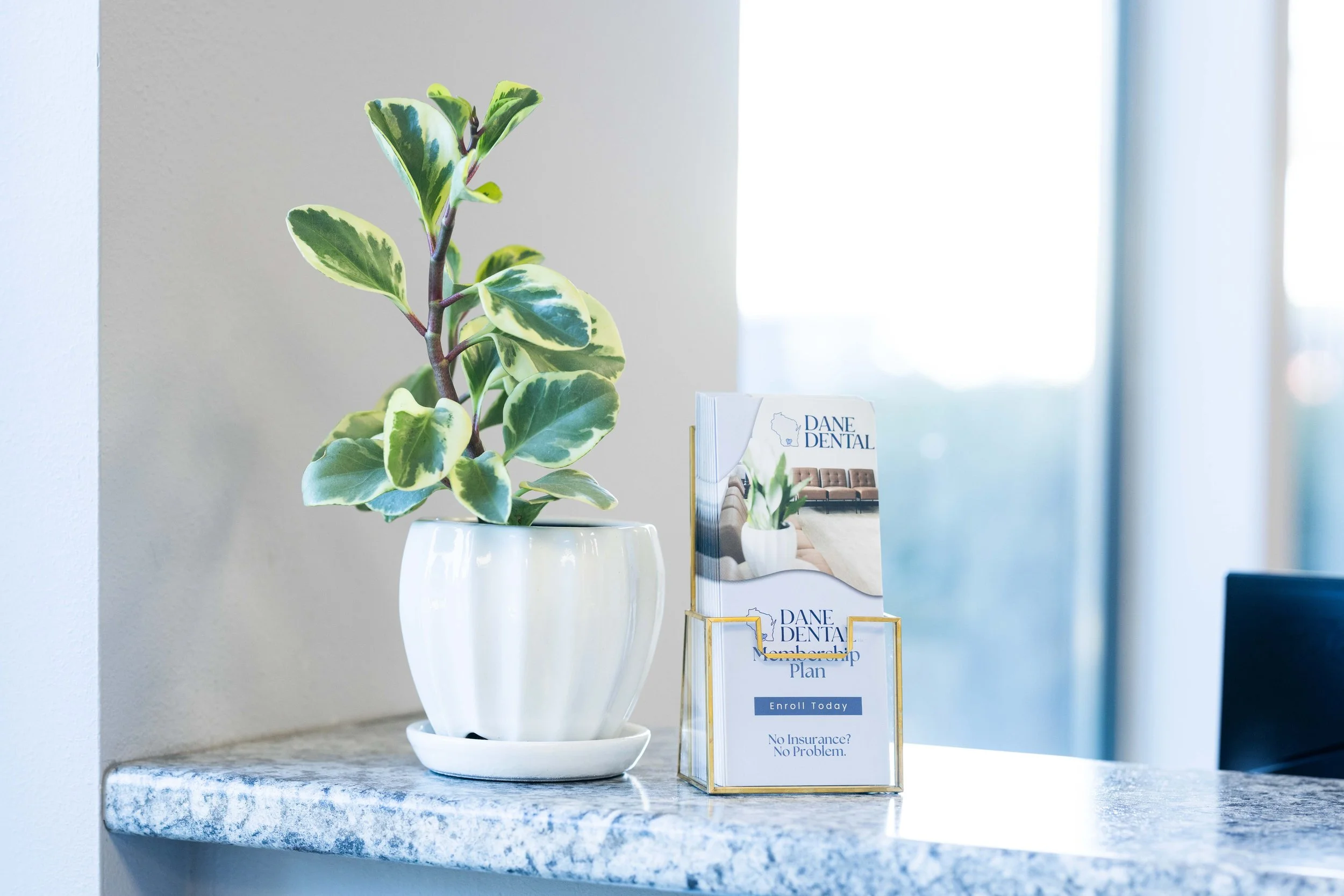 A potted variegated plant with green and cream leaves on a round white ceramic pot, placed on a gray marble countertop. Next to the plant, there is a flyer holder with brochures about dental services, including a brochure labeled 'Dane Dental' and 'Membership Plan.' In the background, a window with natural light is visible.