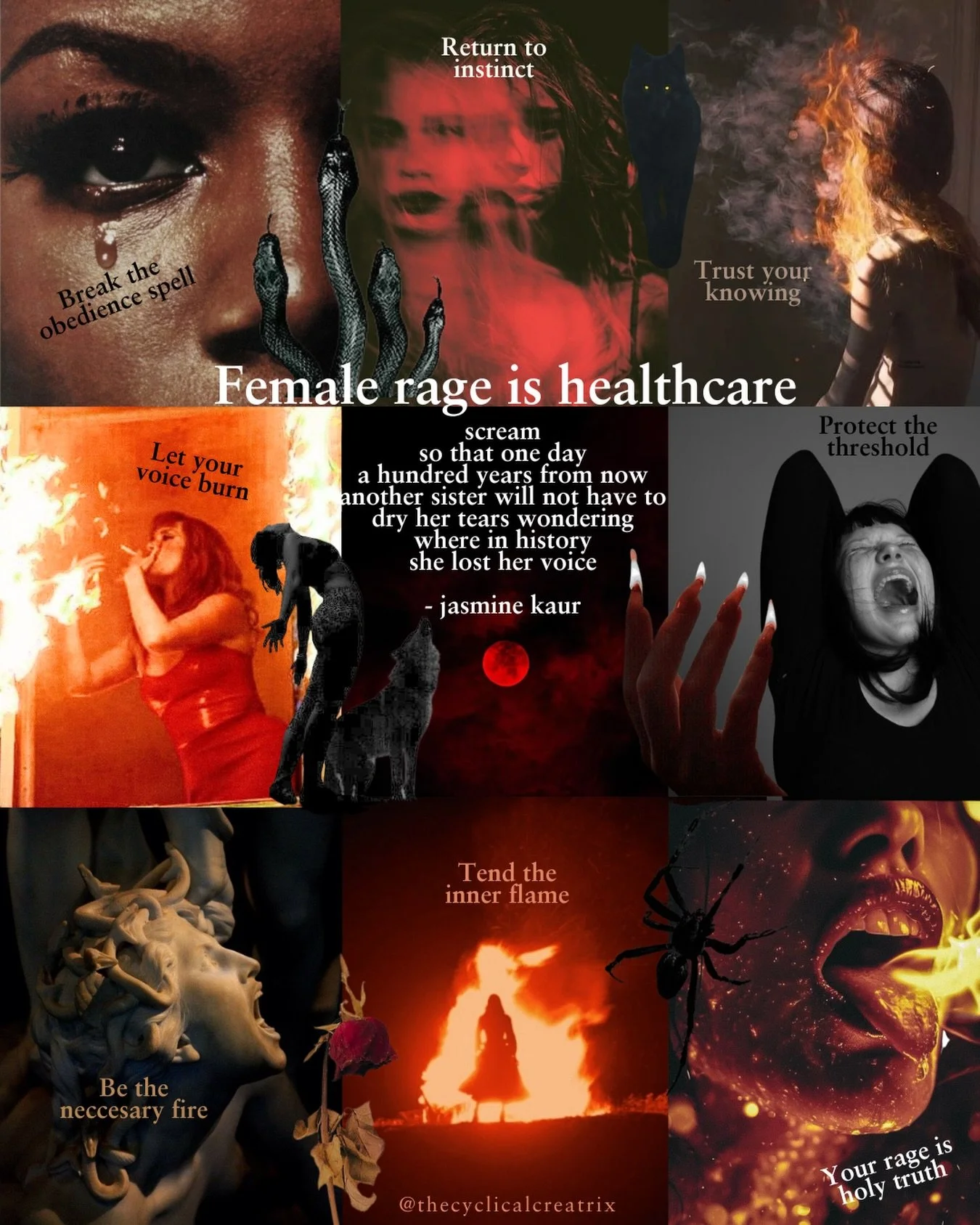 After working with hundreds of women on their hormone health over the last 5+ years, one thing is nearly unanimous:

There is deeply suppressed anger.

Carried through generations.
Formed through lived experience.
Stored quietly in the body.

Unexpre