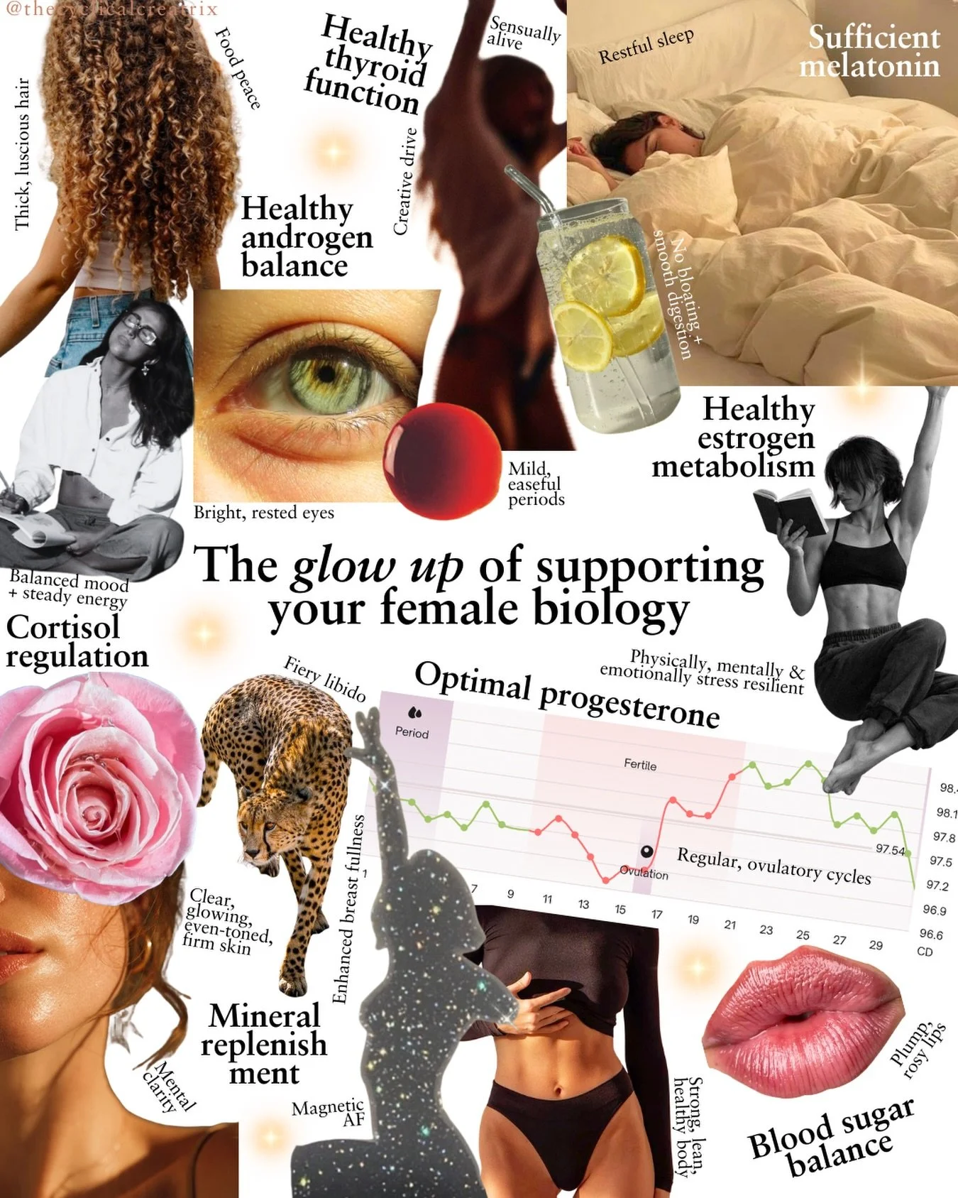 Over the years I realized something that changed everything about my health&hellip;

True health in a female body isn&rsquo;t created through more discipline.

It goes far beyond diet plans, workout schedules, juice cleanses, collagen powders and sup