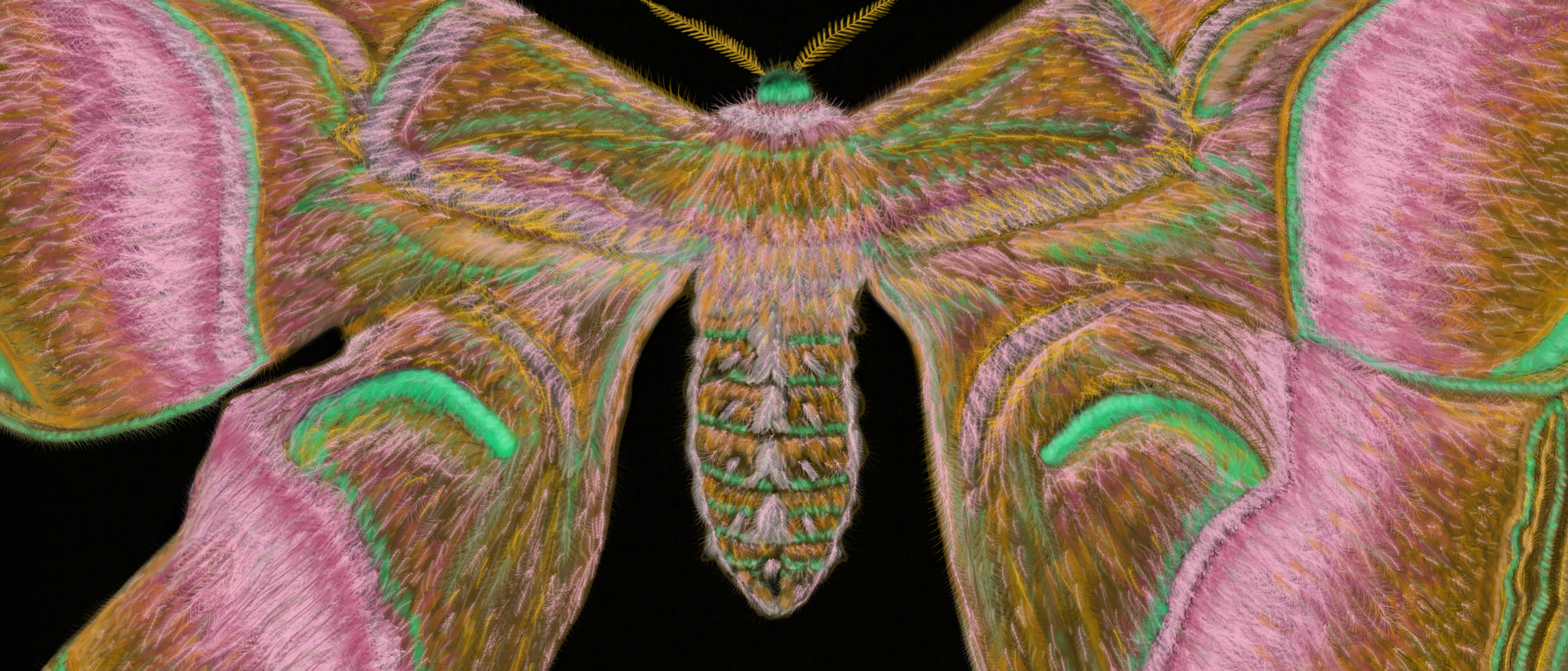 MorganStarfox.Delicate.Details.PNG