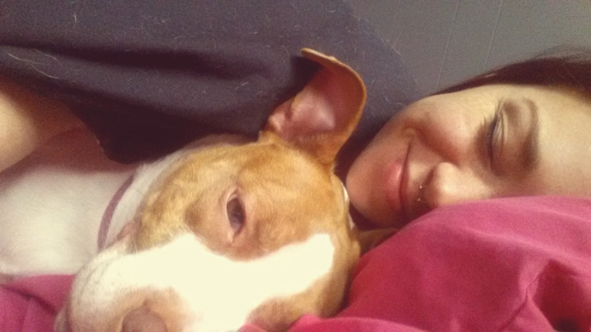 Every night felt safe and warm with her beside me.