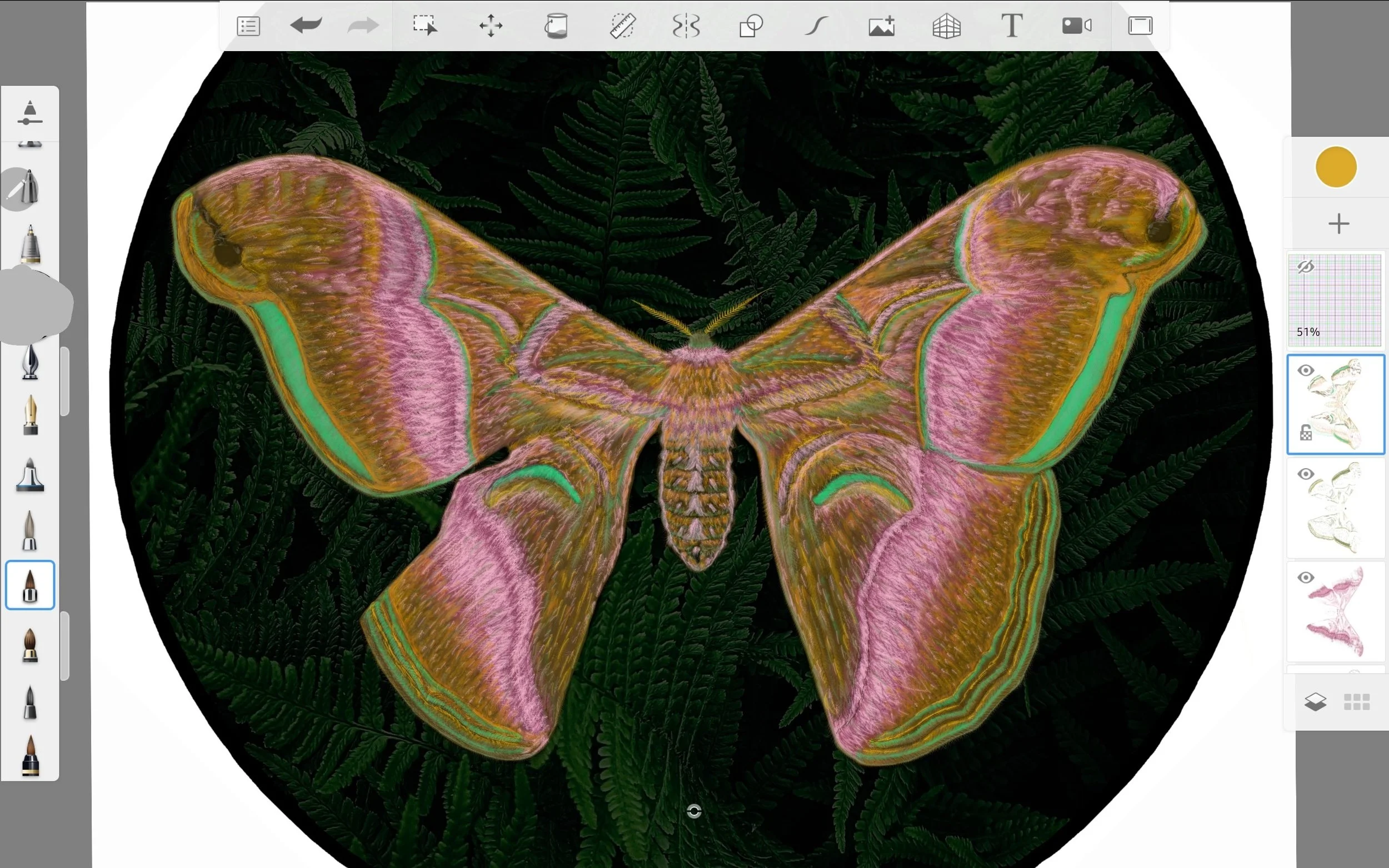 Screenshot_20220815-013813_Sketchbook.jpg