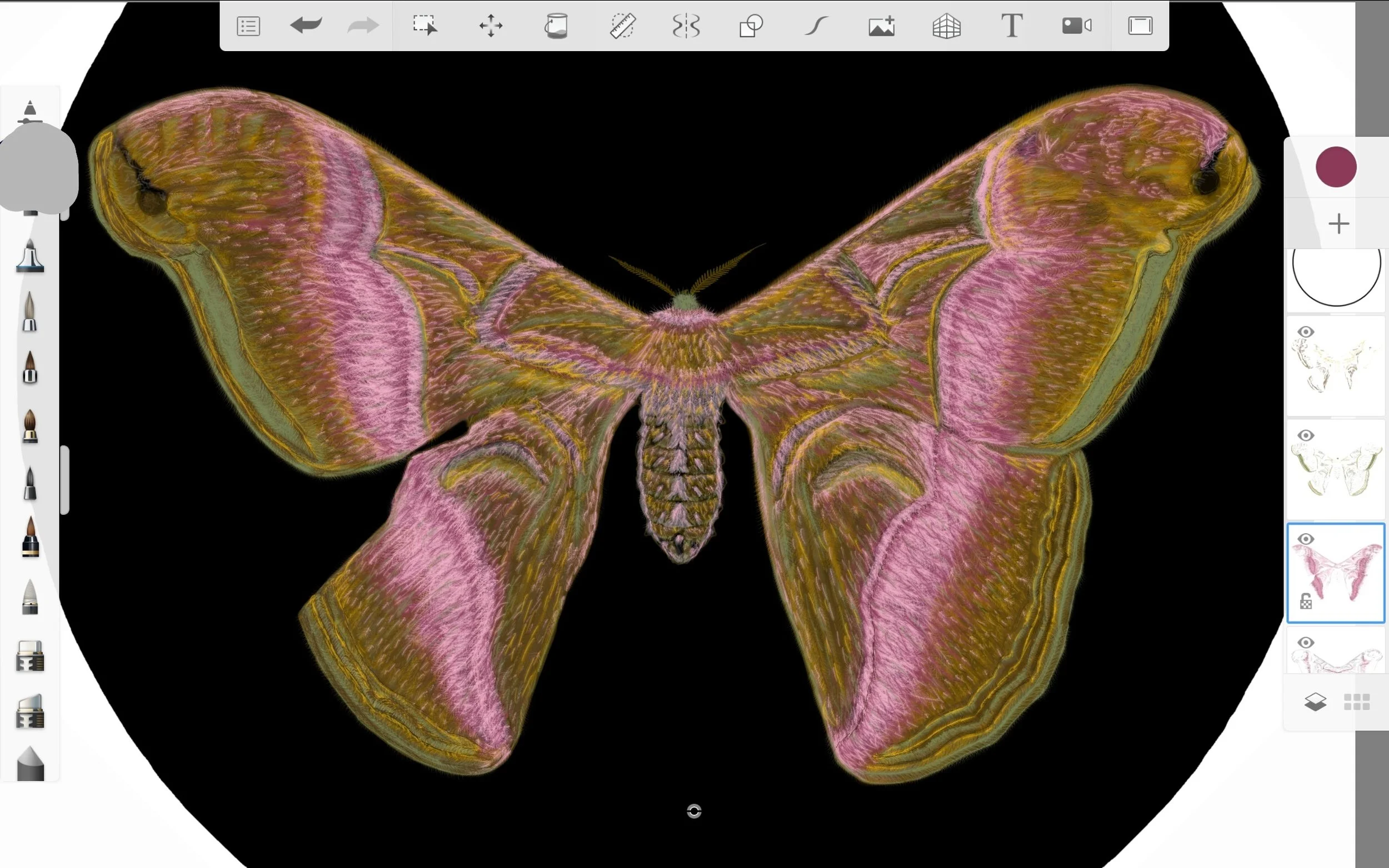 Screenshot_20220814-235557_Sketchbook.jpg