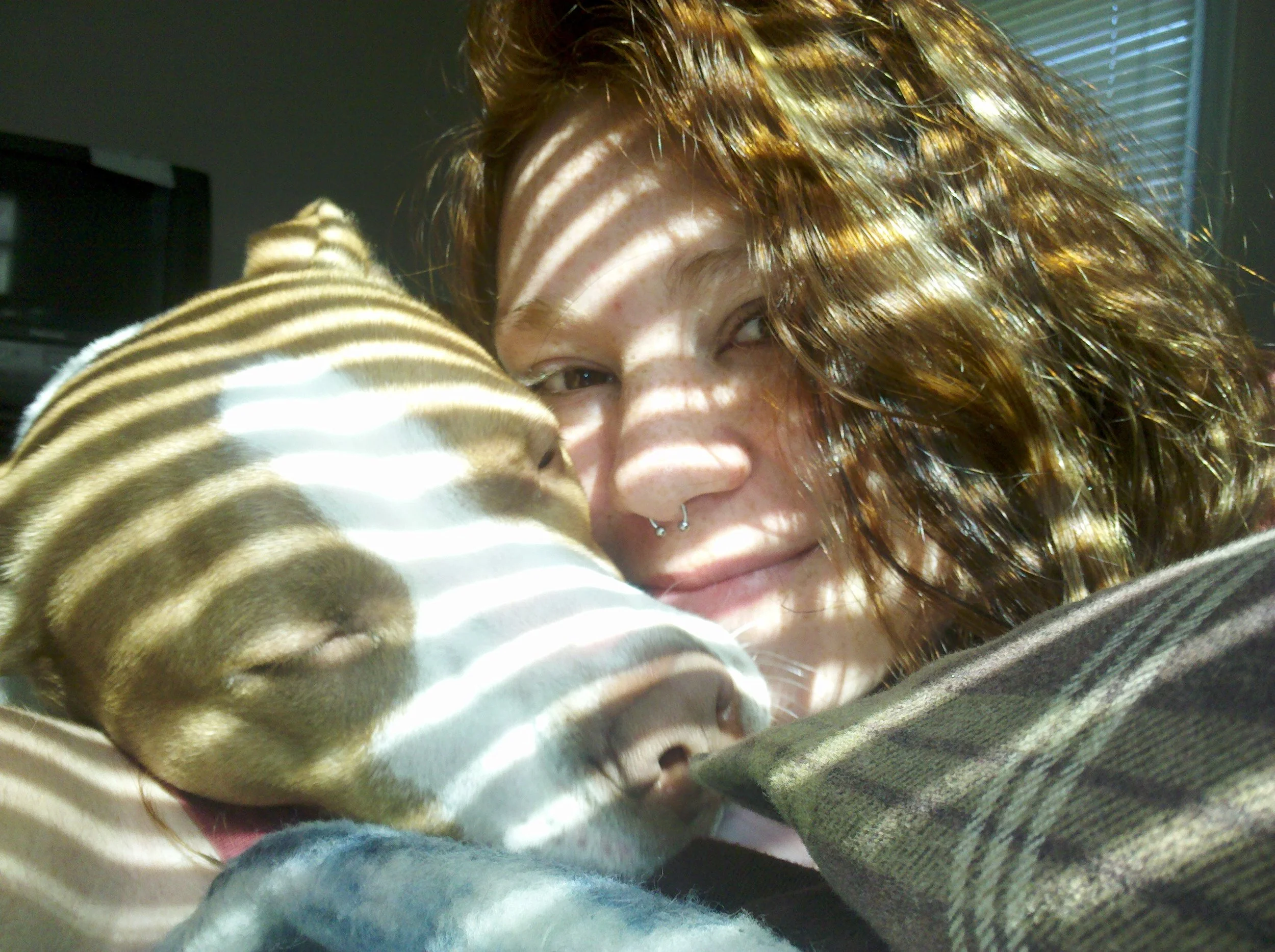 Izzie wasn't simply my dog.