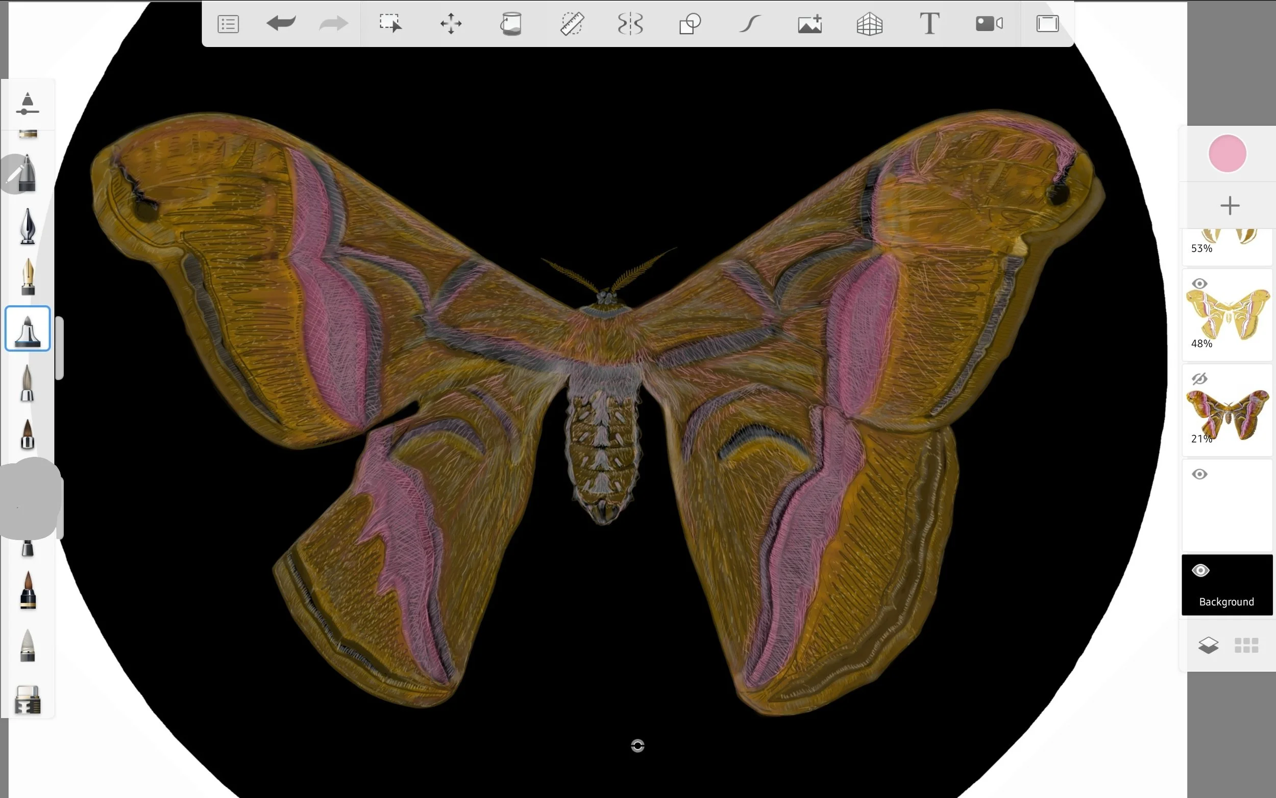 Screenshot_20220814-195438_Sketchbook.jpg