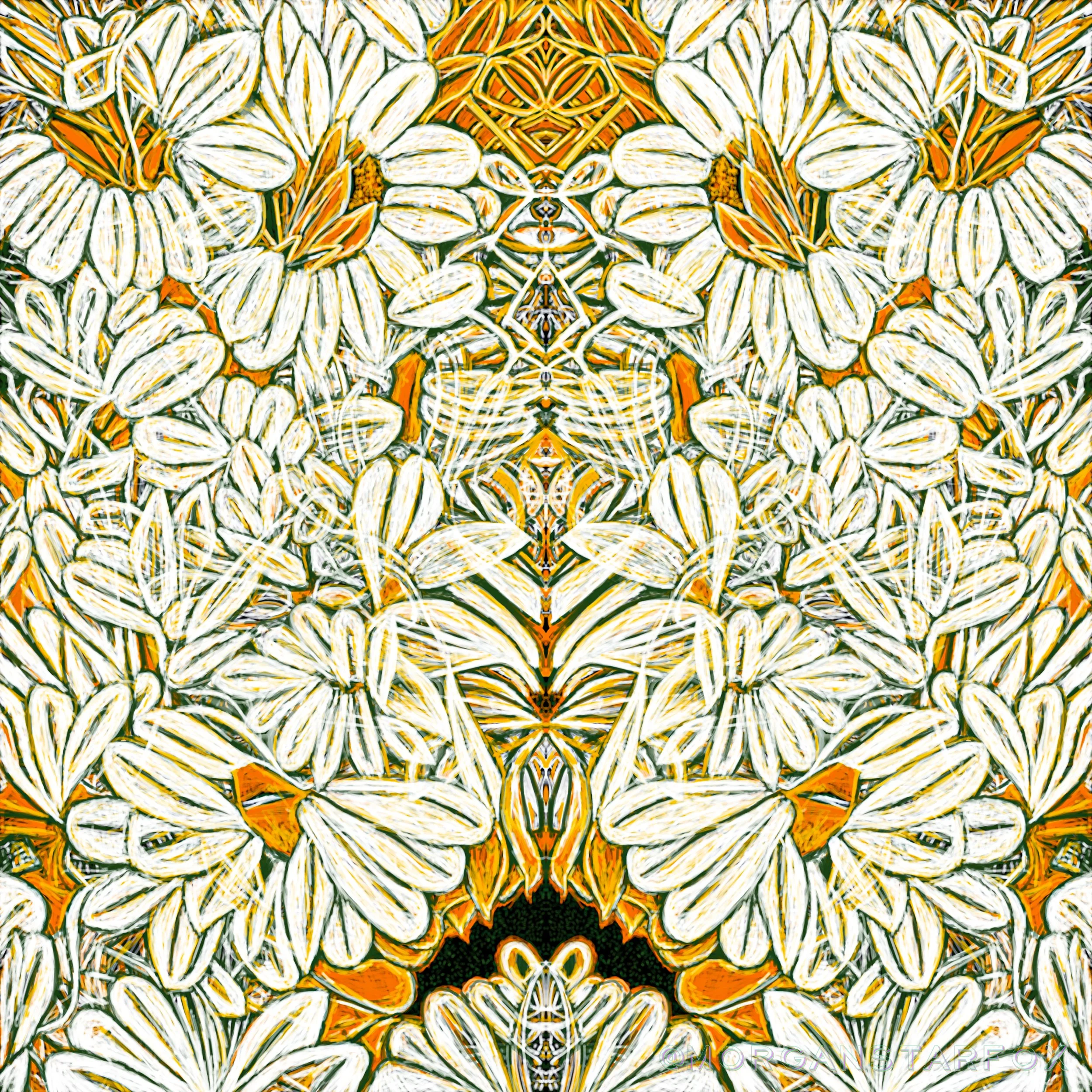 Sunshine + Daisy Daydream
