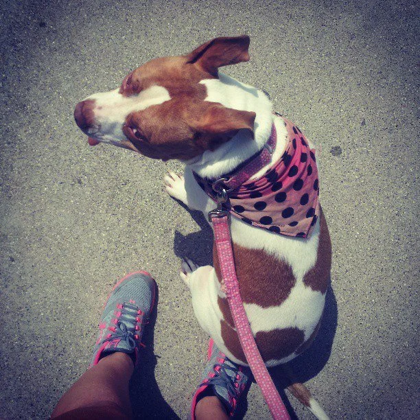 When we ran together, it felt like we were flying.