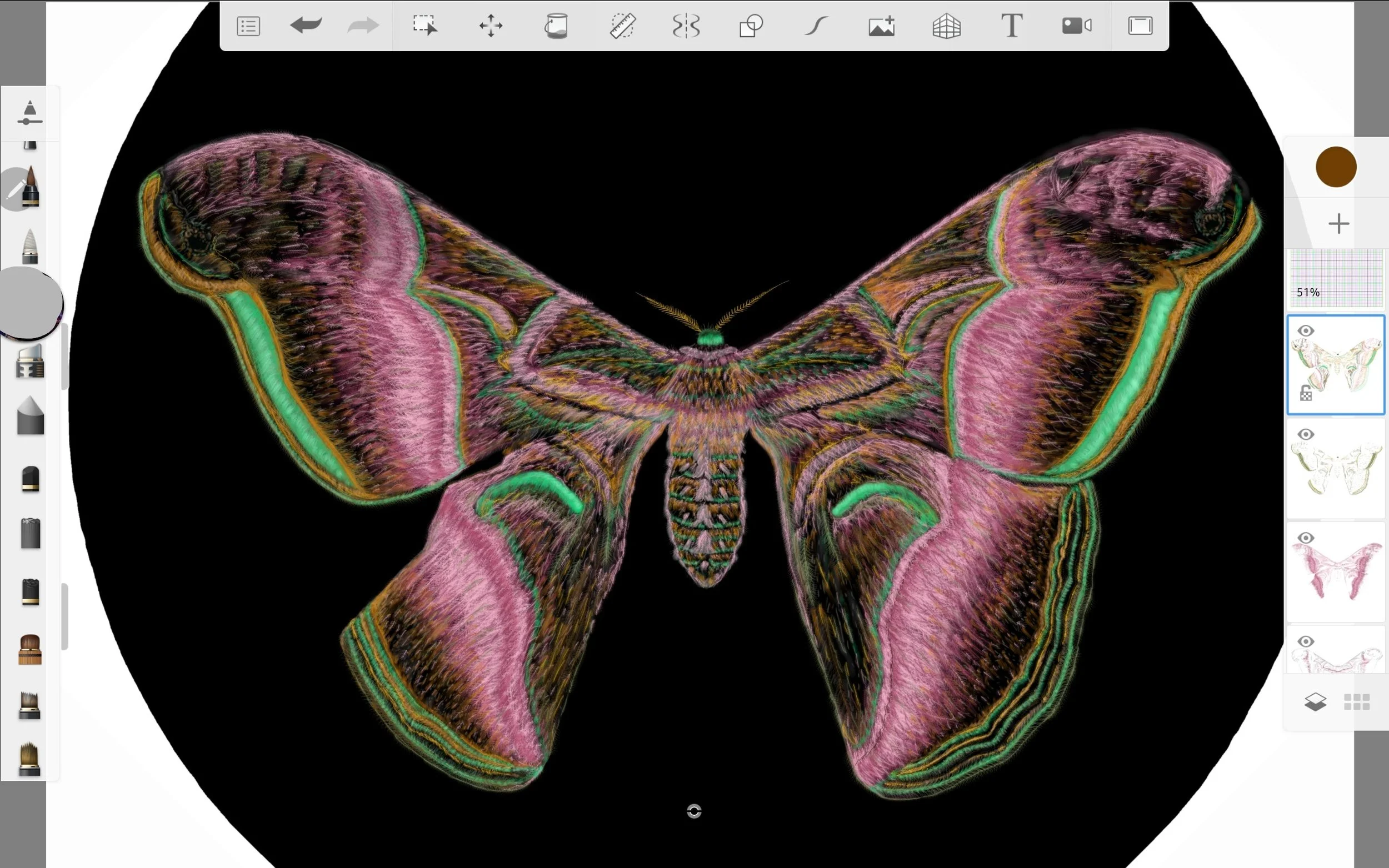 Screenshot_20220815-022850_Sketchbook.jpg