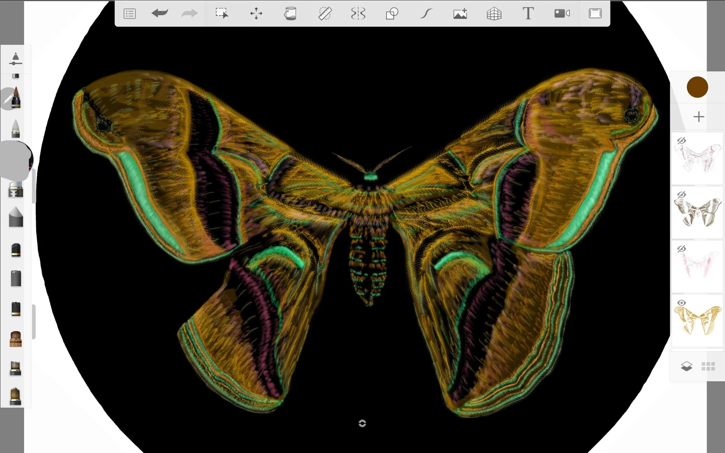 Screenshot_20220815-022913_Sketchbook.jpg