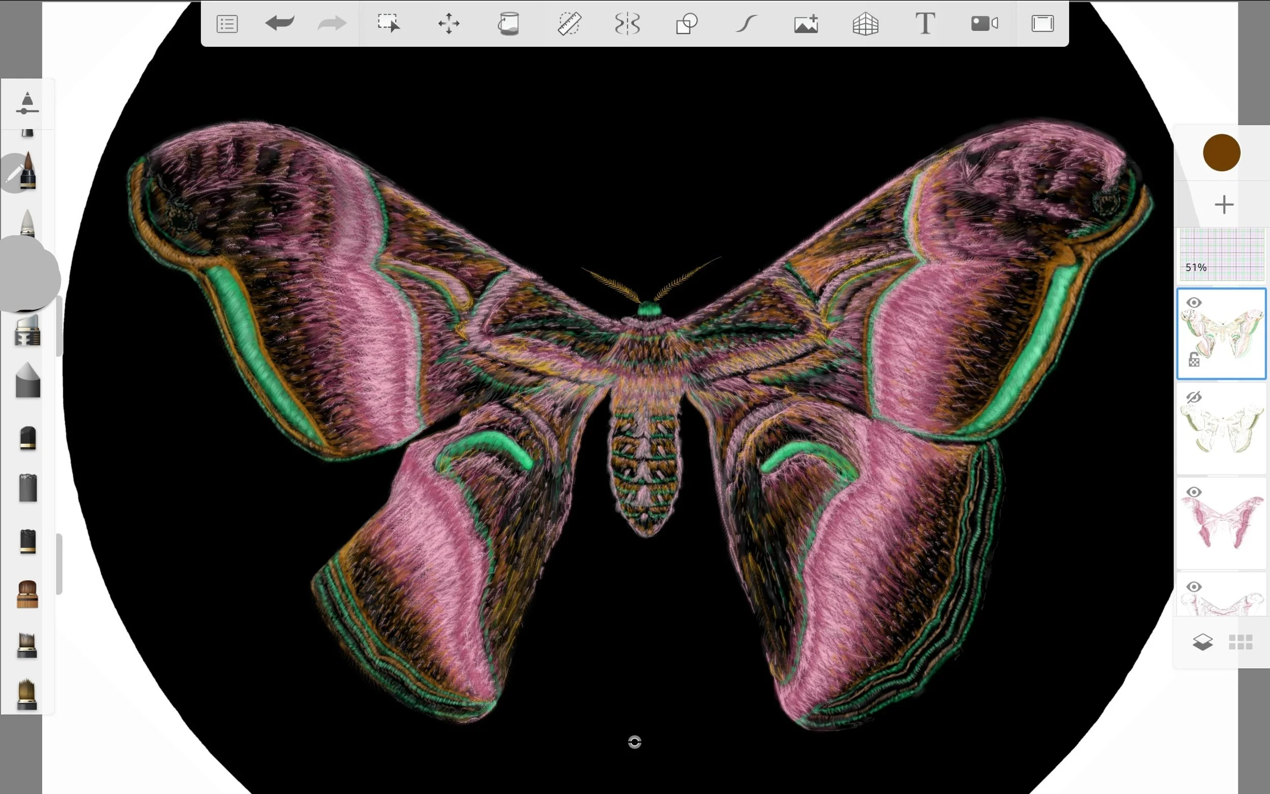 Screenshot_20220815-022844_Sketchbook.jpg