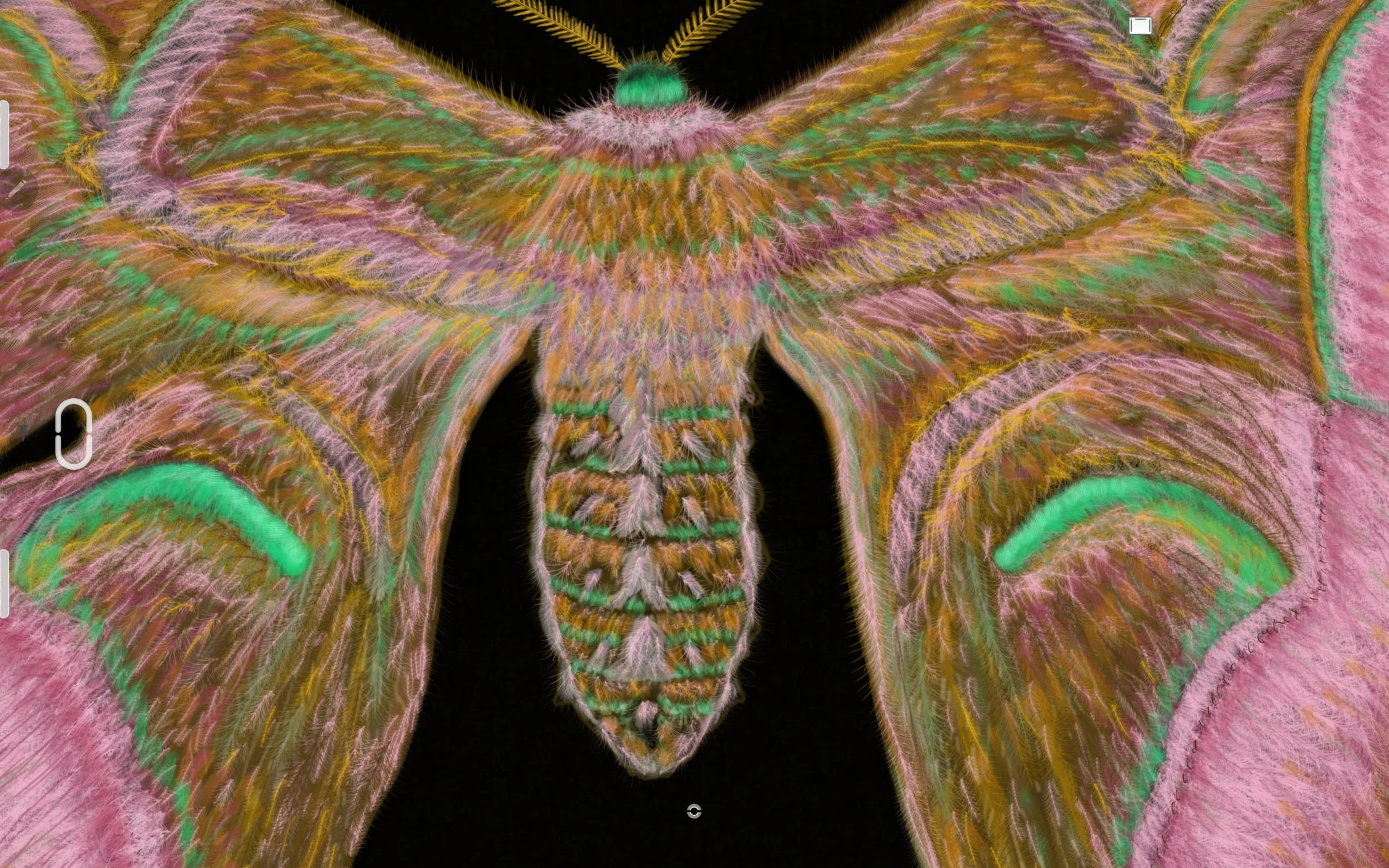 Screenshot_20220815-145204_Sketchbook.jpg