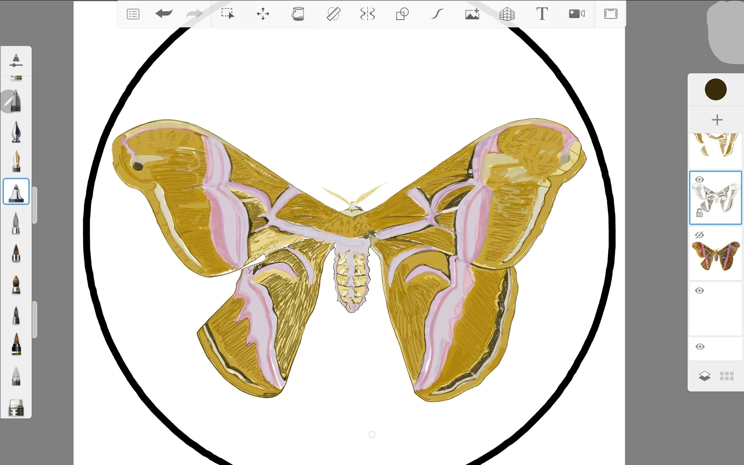 Screenshot_20220814-141217_Sketchbook.jpg