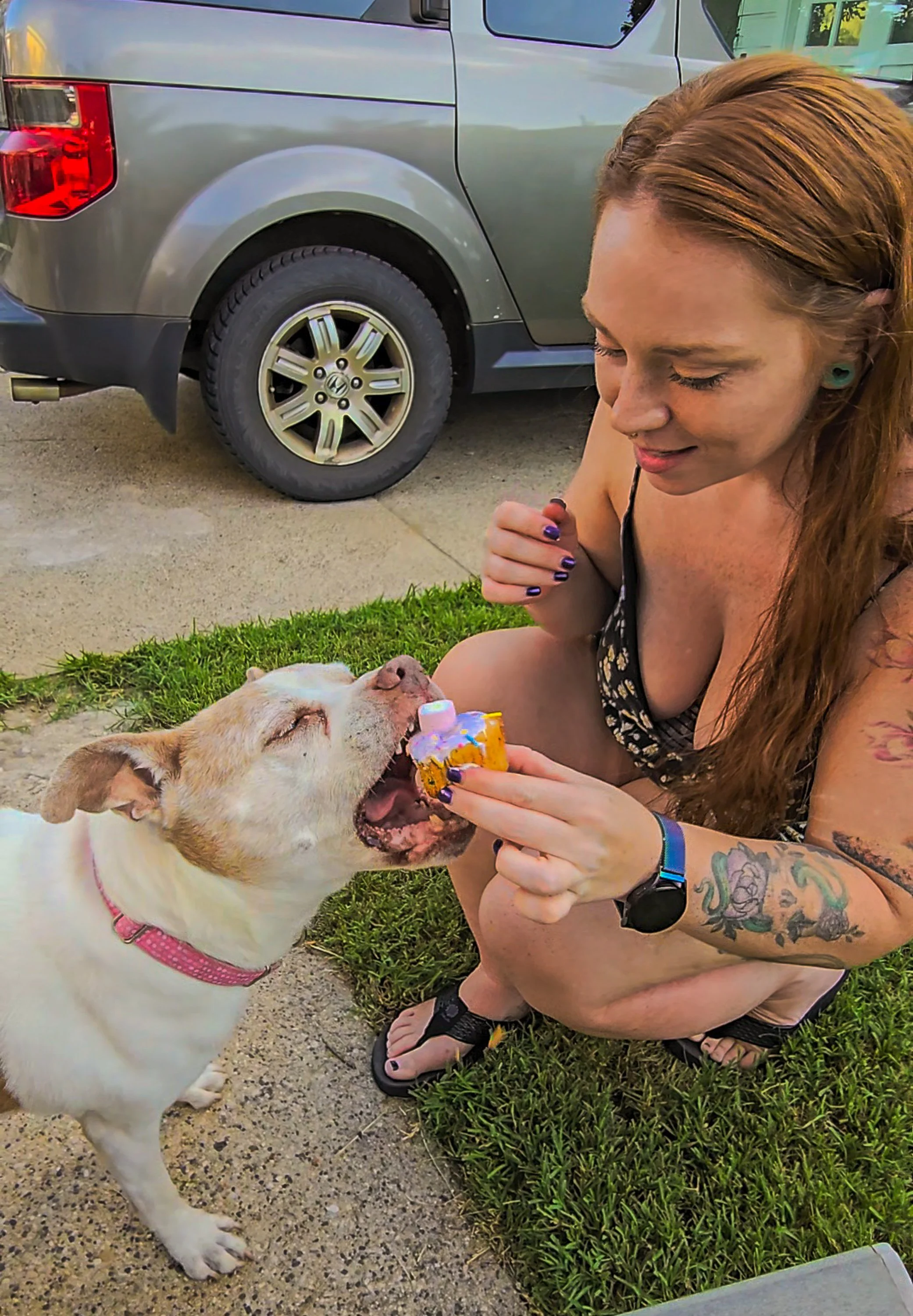 "A long and happy life for my baby Bella"
