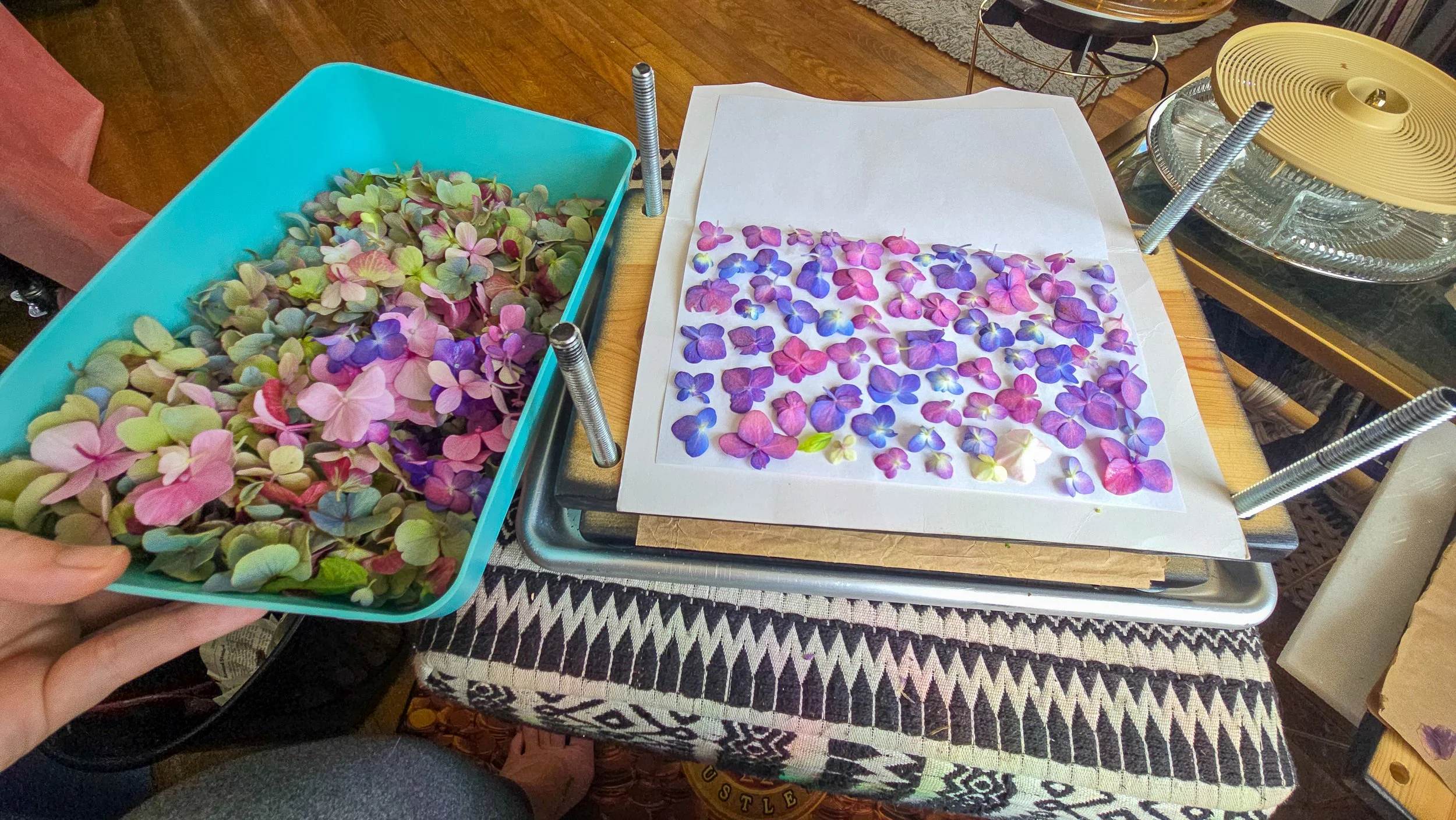 and pressing flowers,