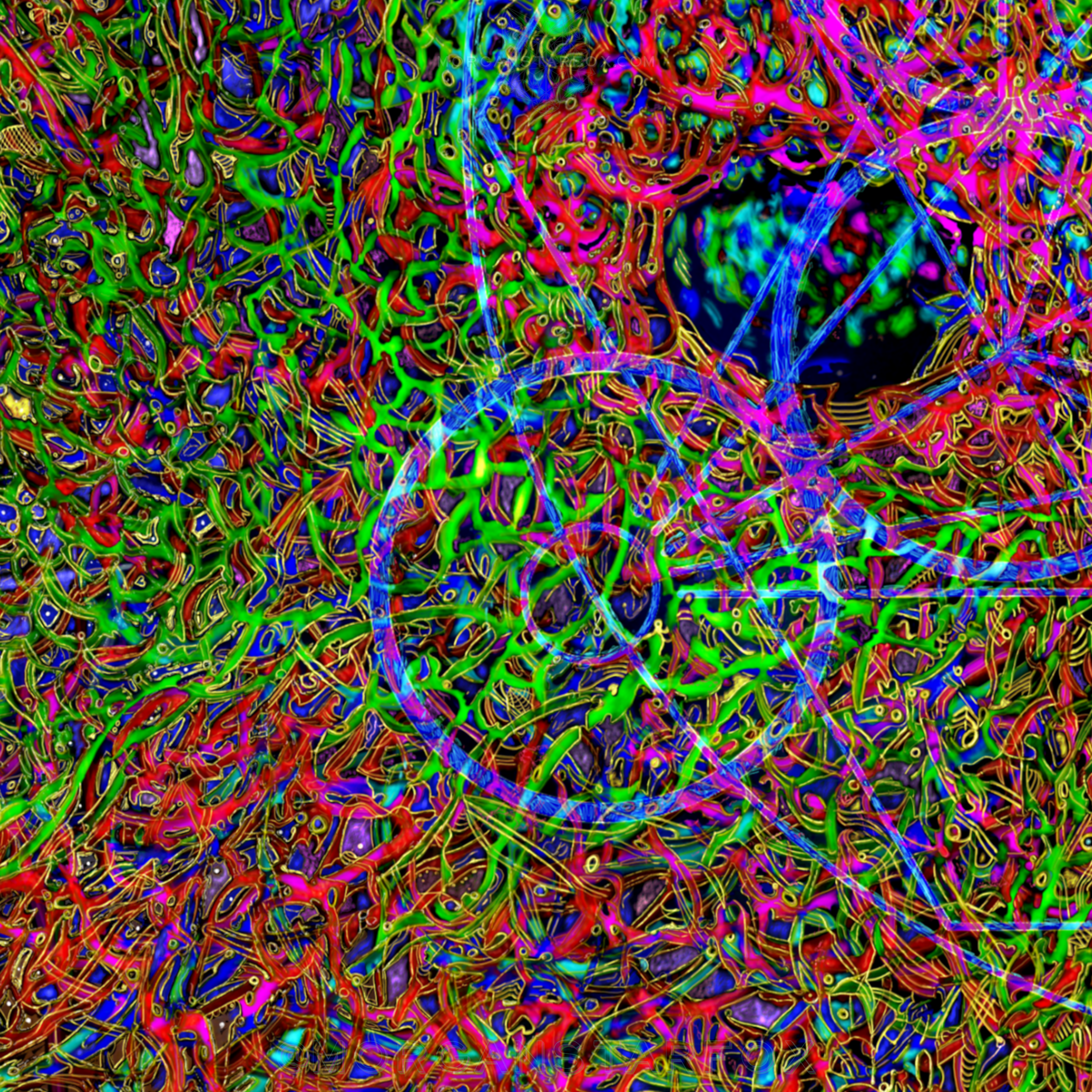 Colorful abstract digital art with intertwined neon lines in various bright colors like green, pink, blue, yellow, and purple, creating a chaotic and vibrant pattern.