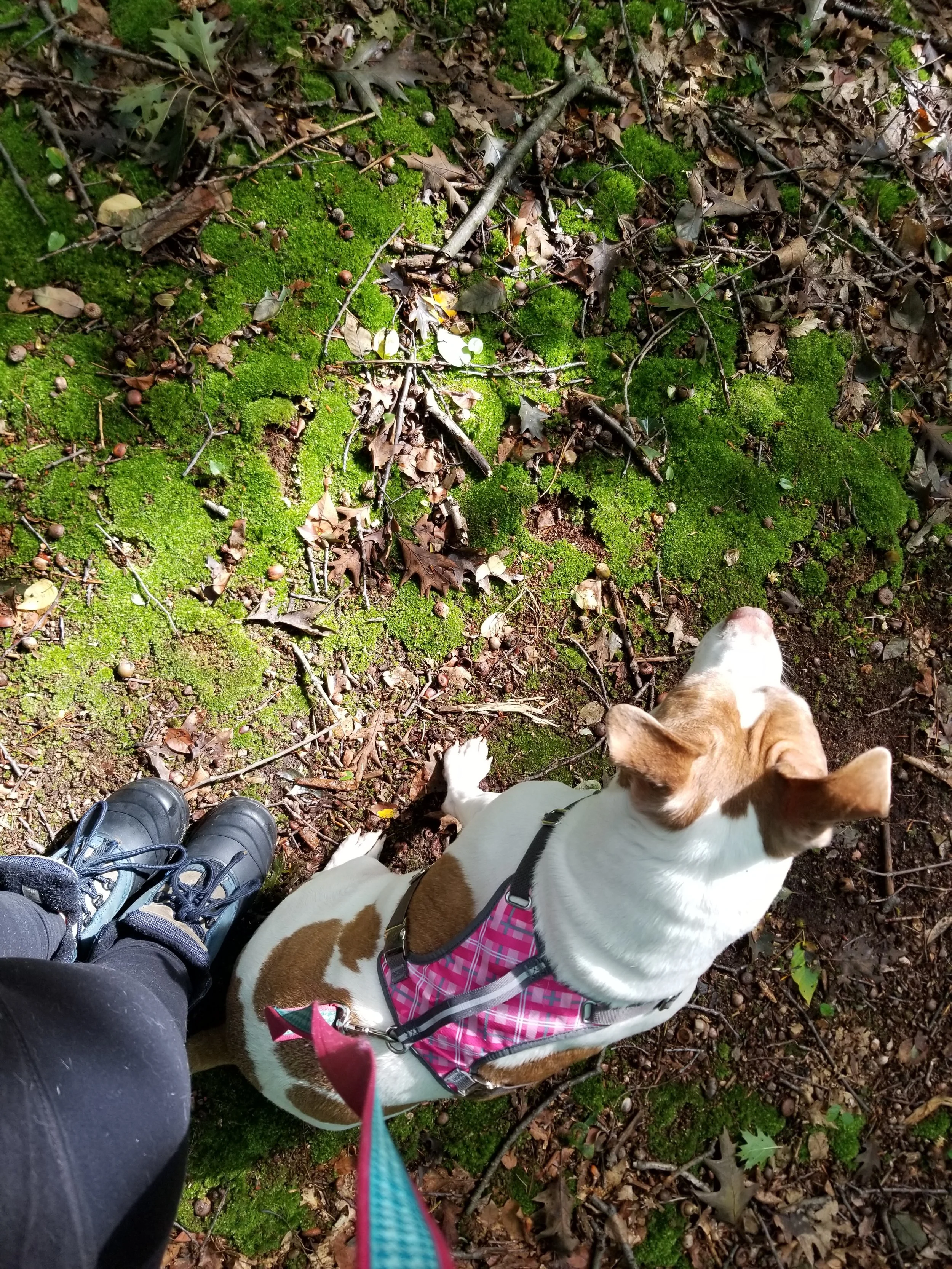 She led the way whenever we were out in nature.