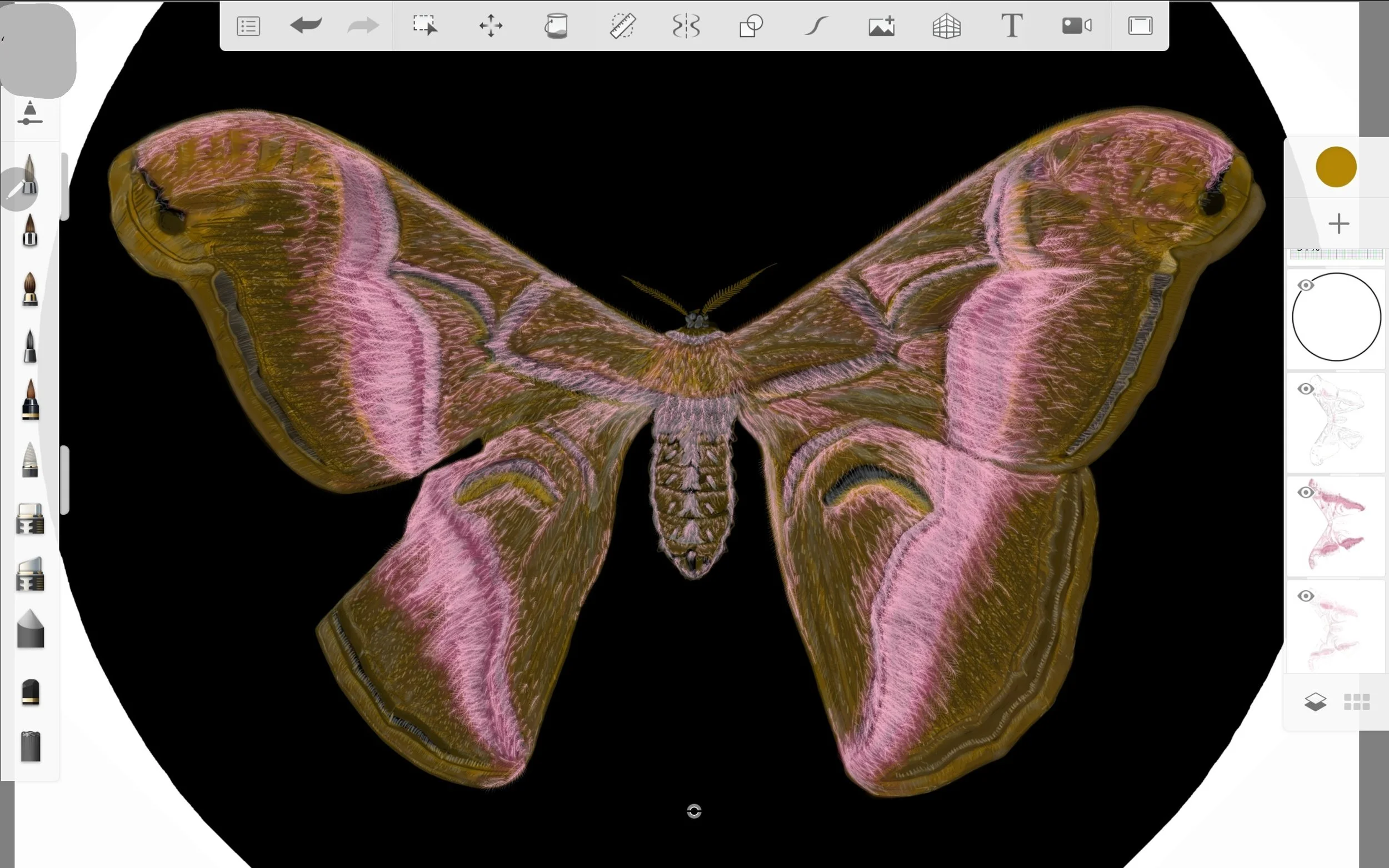 Screenshot_20220814-213207_Sketchbook.jpg