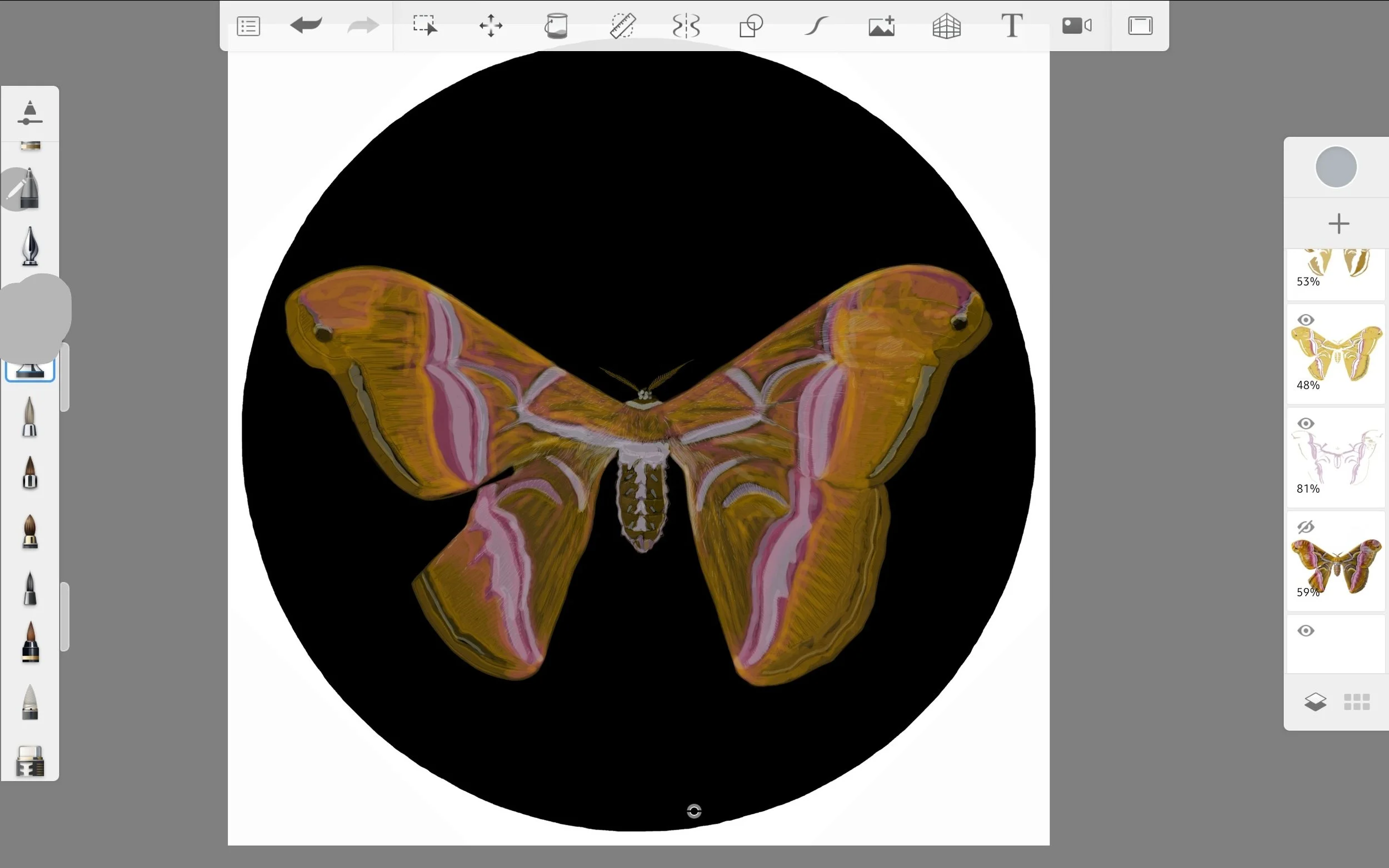 Screenshot_20220814-164758_Sketchbook.jpg