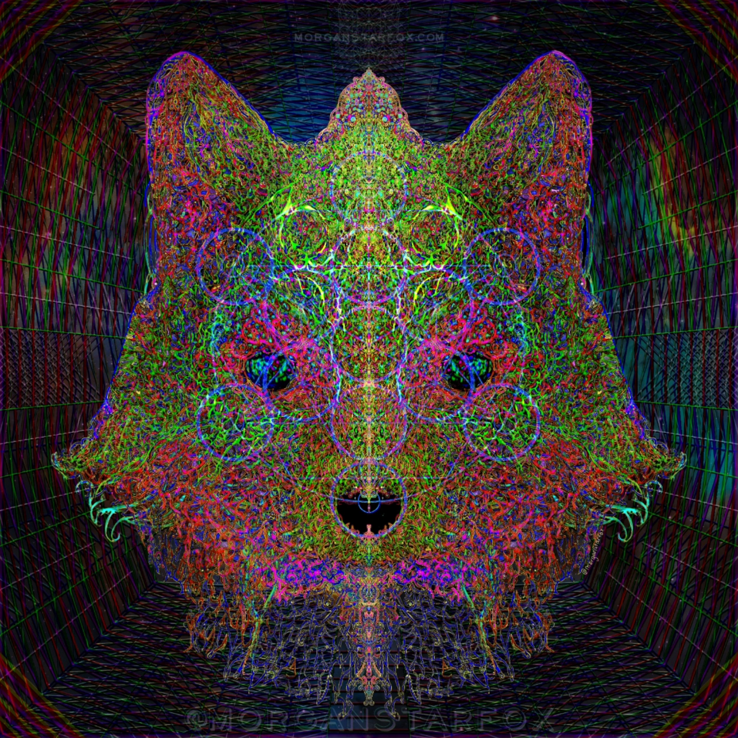 Starfox