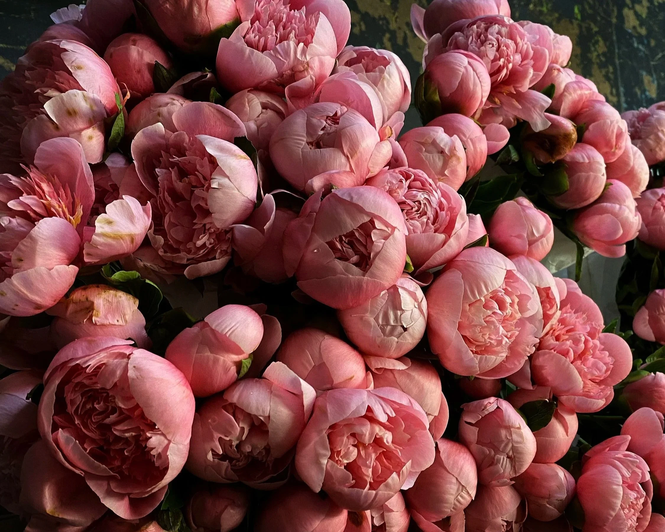 New York Flower Market