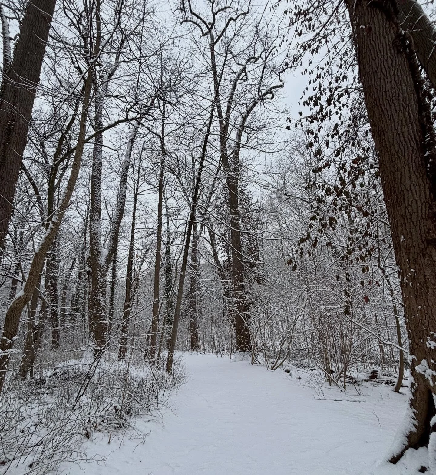 Our Hearts Can Grow

There are two powerful counters to such despair. And they are more necessary than ever.&nbsp;  1) Connect. Much to the contrary of cultural narratives, we are wired to connect. Connection, love, mutual respect and support and fri