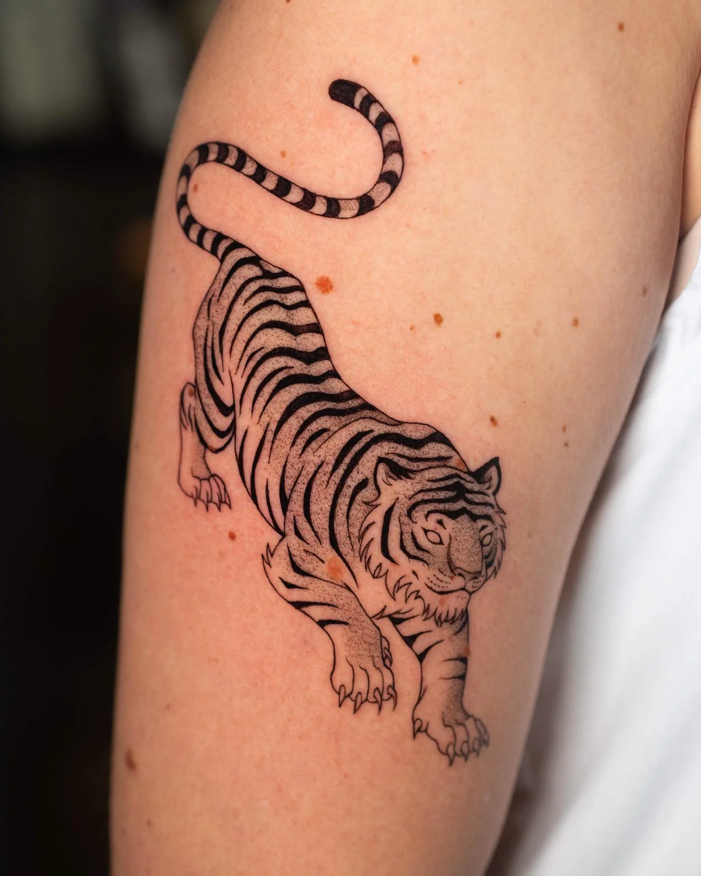 Some recent tattoos! Send me an e-mail to make an appointment: info@jimburgman.com #tattooartist #tattoodesign