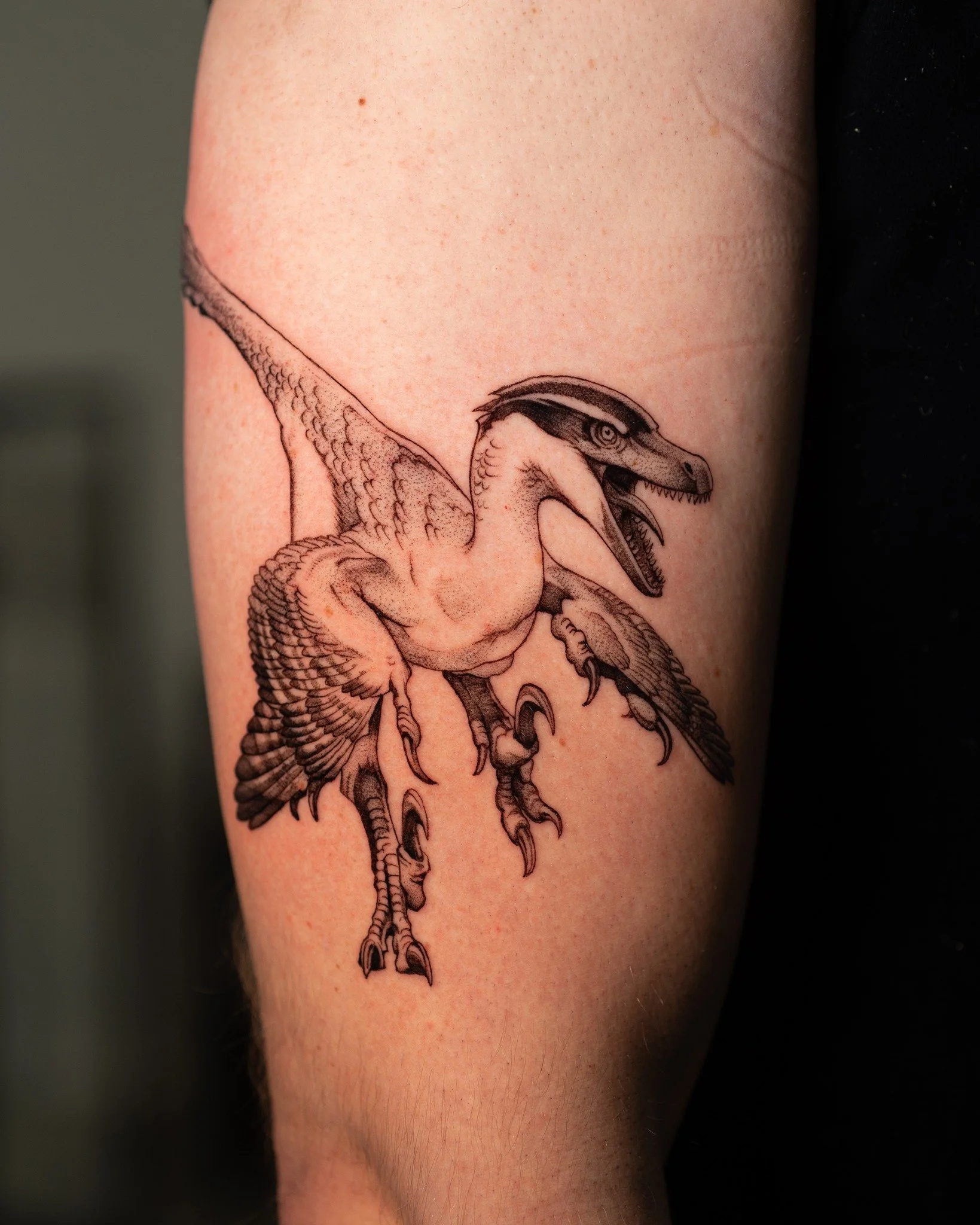 What your favourite dinosaur? Mine is the Ankylosaurus (last picture).
Booking: info@jimburgman.com
 #surrealismtattoo #3rltattoo #tattooartist #tattoostudio #detailedtattoo