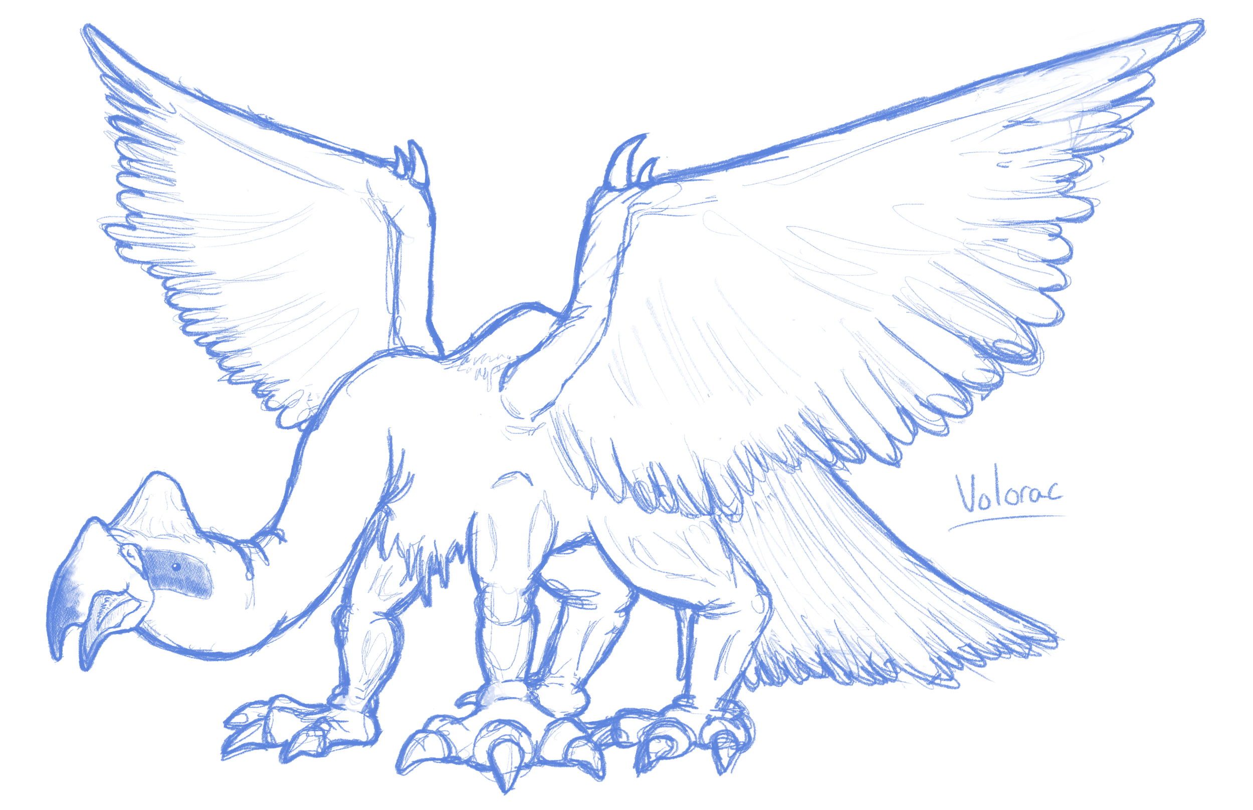 Kaiju Sketch- 'Volorac'