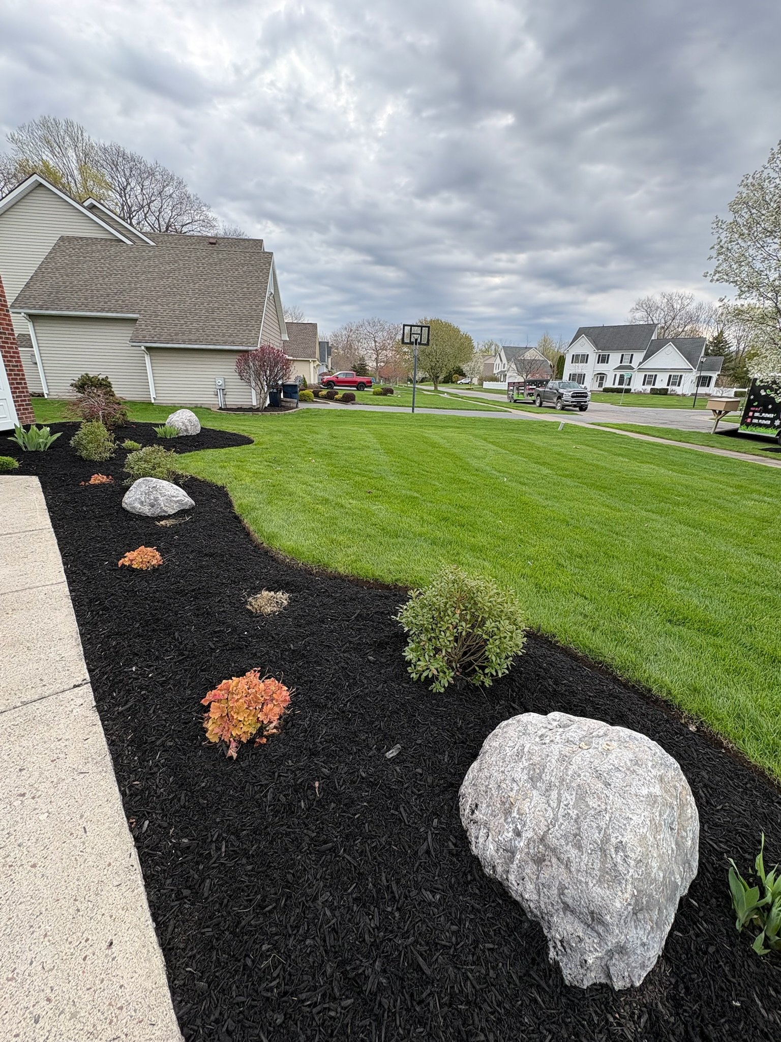Landscape Design & Planting