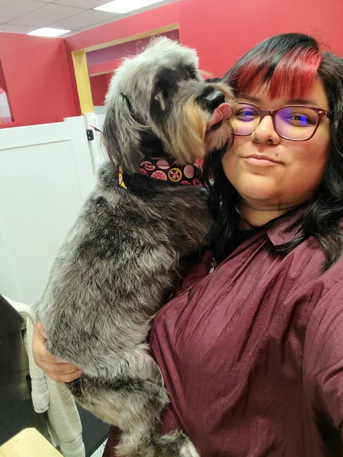 Dogg Oddities, pet groomer in Torrance