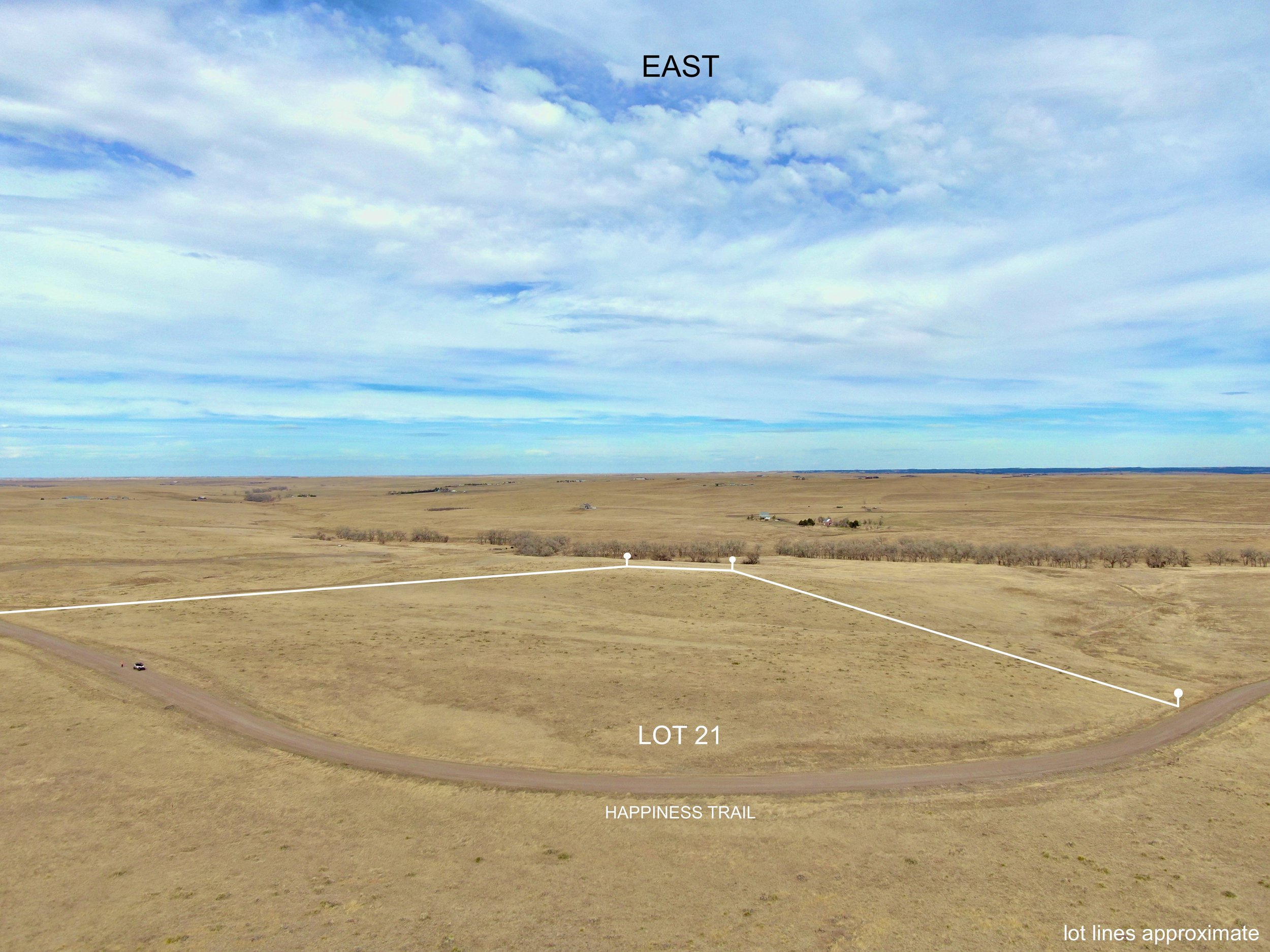 Lot 21
