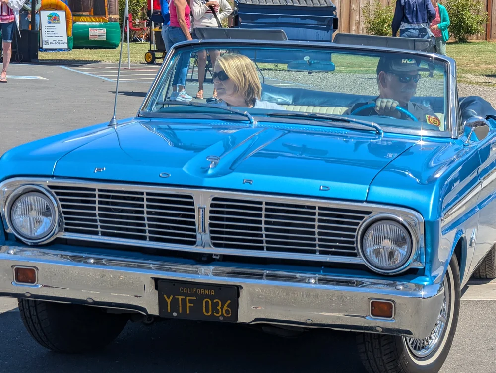 Classic cars lined up at the show